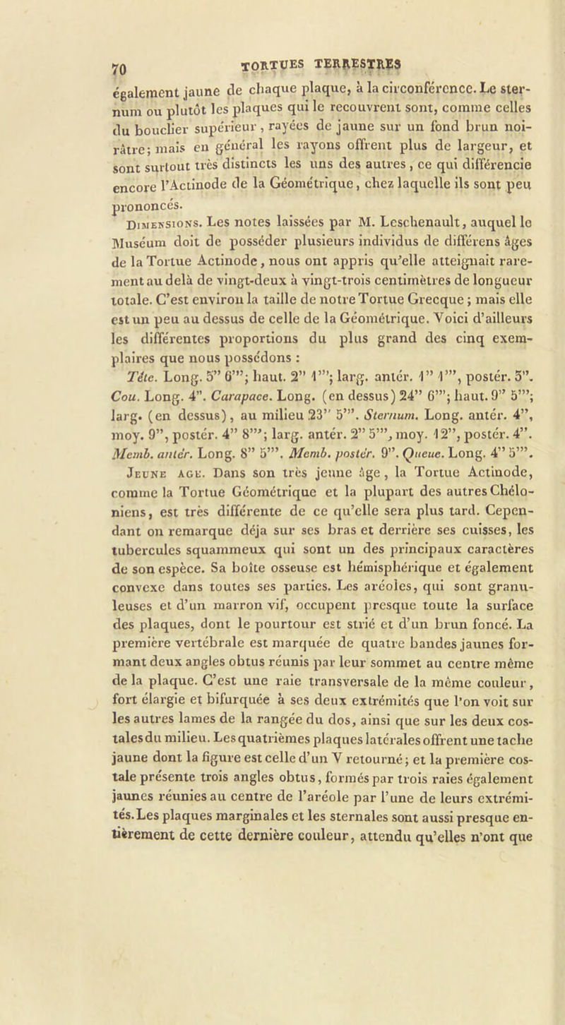 également jaune de chaque plaque, à la cii conférencc. Le ster- num ou plutôt les plaques qui le recouvrent sont, comme celles du bouclier supérieur, rayées de jaune sur un fond brun noi- râtre; mais en général les rayons offrent plus de largeur, et sont surtout très distincts les uns des autres , ce qui différencie encore l’Actinode de la Géométrique, chez laquelle ils sont peu prononcés. Dimensions. Les notes laissées par M. Leschenault, auquel le IMuséura doit de posséder plusieurs individus de différens âges de la Tortue Actiuodc, nous ont appris qu’elle atteignait rare- ment au delà de vingt-deux à vingt-trois centimètres de longueur totale. C’est environ la taille de notre Tortue Grecque ; mais elle est un peu au dessus de celle de la Géométrique. Voici d’ailleurs les différentes proportions du plus grand des cinq exem- plaires que nous possédons : Télé. Long. 5” 6”’; haut. 2” 1”’; larg. anlér. 1” T”, poster. 5”. Cou. Long. 4”. Carapace. Long, (en dessus) 24” 6’”; haut. 9” 5”’; Jarg. (en dessus), au milieu 23” 5”’. Sternum. Long, antér. 4”, moy. 9”, poster. 4” 8”’; larg. antér. 2” 5”’, moy. 12”, poster. 4”. Mcmb. antér. Long. 8” 5’”. Memb. poster. 9”. Queue. Long. 4” 5’”. Jeune âge. Dans son très jeune âge, la Tortue Actinode, comme la Tortue Géométrique et la plupart des autres Chélo- niens, est très différente de ce qu’elle sera plus tard. Cepen- dant ou remarque déjà sur ses bras et derrière ses cuisses, les tubercules squammeux qui sont un des principaux caractères de son espèce. Sa boîte osseuse est hémisphérique et également convexe dans toutes ses parties. Les aréoles, qui sont granti- leuses et d’un marron vif, occupent presque toute la surface des plaques, dont le pourtour est strié et d’un brun foncé. La première vertébrale est marquée de quatre bandes jaunes for- mant deux angles obtus réunis par leur sommet au centre même delà plaque. C’est une raie transversale de la même couleur, fort élargie et bifurquée à ses deux extrémités que l’on voit sur les autres lames de la rangée du dos, ainsi que sur les deux cos- tales du milieu. Les quatrièmes plaques latérales offrent une tache jaune dont la figure est celle d’un V retourné ; et la première cos- tale présenté trois angles obtus, formés par trois raies également jaunes réunies au centre de l’aréole par l’une de leurs extrémi- tés. Les plaques marginales et les sternales sont aussi presque en- tièrement de cette dernière couleur, attendu qu’elles n’ont que