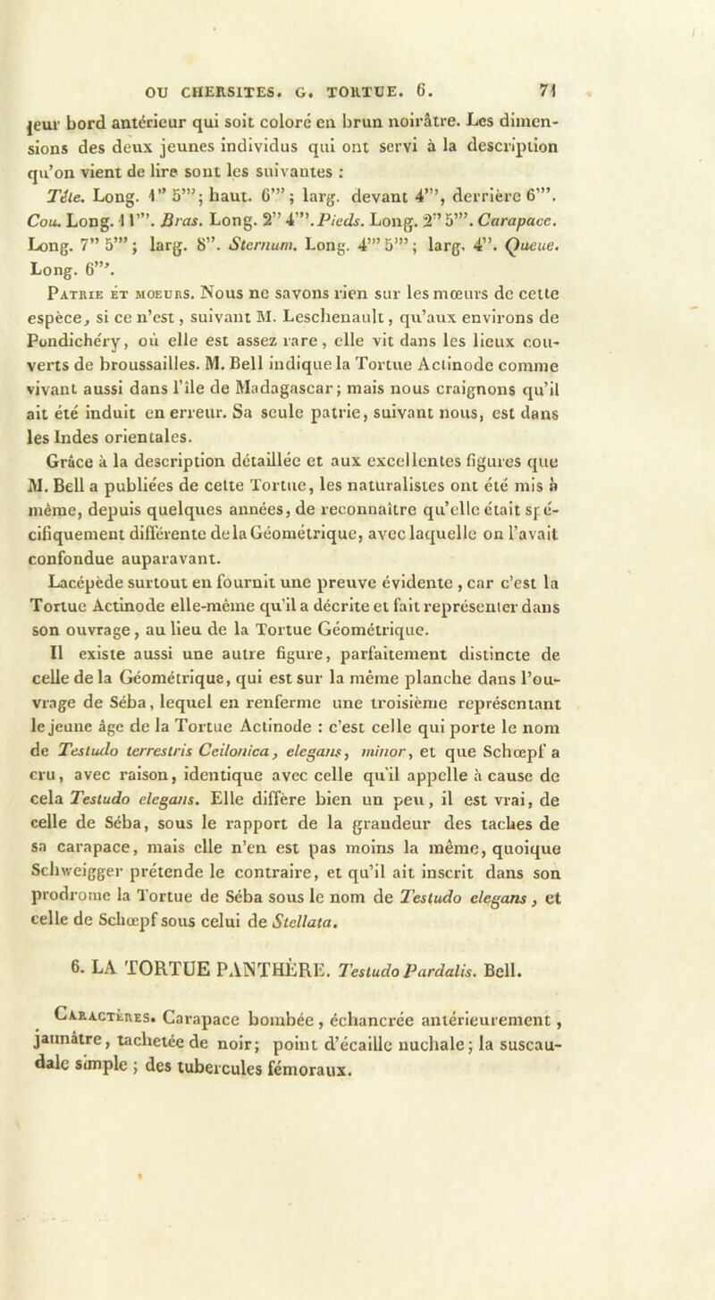 jeur bord antérieur qui soit coloré en brun noirâtre. Les dimen- sions des deux jeunes individus qui ont servi à la description qu’on vient de lire sont les suivantes ; Télé. Long. 1” 5”’; haut. G’”; larg. devant 4”’, derrière 6”’. Cou. Long. 1 r”. Bras. Long. 2” ét. Pieds. Long. 2” 5’”. Carapace. Long. 7” 5’”; larg. 8”. Sternum. Long. 4”’5”’; larg. 4”. Queue, Long. 6”’. Patrie et moeurs. Nous ne savons rien sur les mœurs de cette espèce, si ce n’est, suivant M. Leschenauli, qu’aux environs de Pondichéry, où elle est assez rare, elle vit dans les lieux cou- verts de broussailles. M. Bell indique la Tortue Aciinode comme vivant aussi dans l’île de Madagascar; mais nous craignons qu’il ait été induit en erreur. Sa seule patrie, suivant nous, est dans les Indes orientales. Grâce à la description détaillée et aux excellentes Ggures que M. Bell a publiées de cette Tortue, les naturalistes ont été mis » même, depuis quelques années, de reconnaître qu’elle était Sf é- ciliquement différente delà Géométrique, avec laquelle on l’avait confondue auparavant. Lacépède surtout en fournit une preuve évidente , car c’est la Tortue Actinode elle-raèine qu’il a décrite et fait représenier dans son ouvrage, au lieu de la Tortue Géométrique. Il existe aussi une autre figure, parfaitement distincte de celle de la Géométrique, qui est sur la même planche dans l’ou- vrage de Séba, lequel en renferme une troisième représentant le jeune âge de la Tortue Aciinode : c’est celle qui porte le nom de Testudo terresiris Ccilonica, elegans, minor, et que Schœpf a cru, avec raison, identique avec celle qu’il appelle à cause de cela Testudo elegans. Elle diffère bien un peu, il est vrai, de celle de Séba, sous le rapport de la grandeur des taches de sa carapace, mais elle n’en est pas moins la même, quoique Schweigger prétende le contraire, et qu’il ait inscrit dans son prodrome la Tortue de Séba sous le nom de Testudo elegans, et celle de Schœpf sous celui de Slcllata, 6. LA TORTUE PANTHÈRE. 7'estudo Pardalls. Bell. Caractères. Carapace bombée, échancrée antérieurement, jaunâtre, tachetée de noir; point d’écaillc nuchale; la suscau- dalc simple ; des tubercules fémoraux.