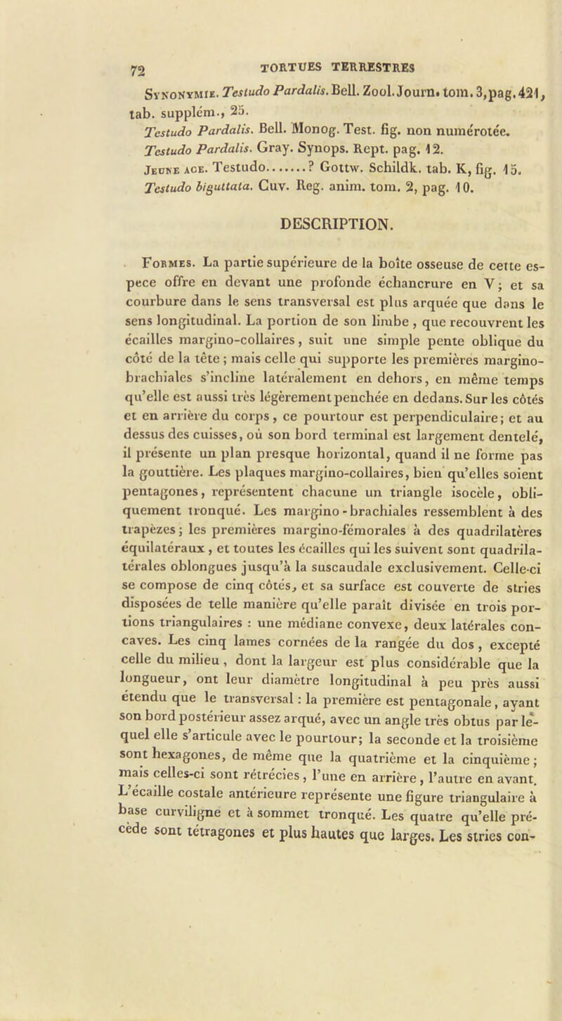 SVKONVMIE. Tesludo Pardalis. Bell. Zoül. Journ. tom. 3,pag. 421, tab. supplém., 25. Tcstudo Pardalis. Bell. Monog. Test. fig. non numérotée, Tcstudo Pardalis. Gray. Synops. Rept. pag. 12. Jeoke ace. Testudo ? Gottw. Schildk. tab. K, fig. 15. Tcstudo biguttala. Guy. Reg. anim. tom. 2, pag. 10. DESCRIPTION. Fokmes. La partie supérieure de la boîte osseuse de cette es- pece offre en devant une profonde échancrure en V j et sa courbure dans le sens transversal est plus arquée que dans le sens longitudinal. La portion de son limbe , que recouvrent les écailles margino-collaires, suit une simple pente oblique du côté de la tête ; mais celle qui supporte les premières margino- brachiales s’incline latéralement en dehors, en même temps qu’elle est aussi très légèrement penchée en dedans. Sur les côtés et en arrière du corps, ce pourtour est perpendiculaire; et au dessus des cuisses, où son hord terminal est largement dentelé, il présente un plan presque horizontal, quand il ne forme pas la gouttière. Les plaques margino-collaires, bien qu’elles soient pentagones, représentent chacune un triangle isocèle, obli- quement tronqué. Les margino - brachiales ressemblent à des trapèzes ; les premières margino-fémorales à des quadrilatères équilatéraux , et toutes les écailles qui les suivent sont quadrila- térales oblongues jusqu’à la suscaudale exclusivement. Celle-ci se compose de cinq côtés, et sa surface est couverte de stries disposées de telle manière qu’elle j>araît divisée en trois por- tions triangulaires : une médiane convexe, deux latérales con- caves. Les cinq lames cornées de la rangée du dos, excepté celle du milieu, dont la largeur est plus considérable que la longueur, ont leur diamètre longitudinal à peu près aussi étendu que le transversal : la première est pentagonale, ayant son bord postérieur assez arqué, avec un angle très obtus par le- quel elle s articule avec le pourtour; la seconde et la troisième sont hexagones, de même que la quatrième et la cinquième; mais celles-ci sont rétrécies, l’une en arrière, l’autre en avant. L’écaille costale antérieure représente une figure triangulaire à base curviligne et à sommet tronqué. Les quatre qu’elle pré- cède sont létragones et plus hautes que larges. Les stries con-