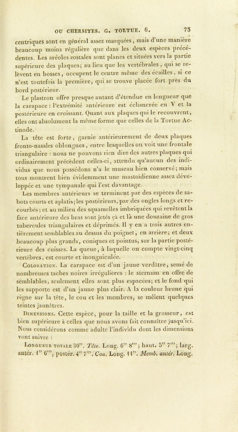 centriques sont en général assez marquées, mais d’une manière beaucorip moins régulière que dans les deux espèces précé- dentes. Les aréoles costales sont planes et situées vers la partie supérieure des plaques; au lieu que les vertébrales . qui se re- lèvent en bosses, occupent le centre même des écailles , si ce n’est toutefois la première, qui se trouve placée fort près du bord postérieur. Le plastron offre presque autant d’étendue en longueur que la carapace : l’extrémité antérieure est échancrée en V et la postérieure en croissant. Quant aux plaques qui le recouvrent, elles ont absolument la même forme que celles de la Tortue Ac- tinode. La tête est forte, garnie antérieurement de deux plaques fronto-nasales oblongues, entre lesquelles on voit une frontale triangulaire : nous ne pouvons rien dire des autres plaques qui ordinairement précèdent celles-ci, attendu qu’aucun des indi- vidus que nous possédons n’a le museau bien conservé ; mais tous montrent bien évidemment une mastoïdienne assez déve- loppée et une tympanale qui l’est davantage. Les membres antérieurs se terminent par des espèces de sa- bots courts et aplatis; les postérieurs, par des ongles longs et re- courbés; et au milieu des squamelles Imbriquées qui revêtent la face anterieure des bras sont jetés çà et là une douzaine de gros tubercules iriaugulaires et déprimés. Il y en a trois autres en- tièrement semblables au dessus du poignet, en arrière; et deux beaucoup plus grands, coniques et pointus, sur la partie posté- rieure des cuisses. La queue, à laquelle on compte vingt-cinq vertèbres, est courte et inonguiculée. Coloration. La carapace est d’un jaune verdâtre, semé de nombreuses taches noires Irrégulières : le sternum en offre de semblables, seulement elles sont plus espacées; et le fond qui les supporte est d’un jaune plus clair. A la couleur brune qui régne sur la tête, le cou et les membres, se mêlent quelques teintes jaunâtres. Dimensions. Cette espece, pour la taille et la grosseur, est bien supérieure à celles que nous avons fait connaître jusqu’ici. Nous considérons comme adulte l’individu dont les dimensions vont suivre : Longueur totale 30”. Téie. Long. 6” 8’” ; haut. 5” 7”’; larg. antér. I” G’”, poster. 4” 7’”. Cou, Long. 11”. Mcmb, aiuér. Long.