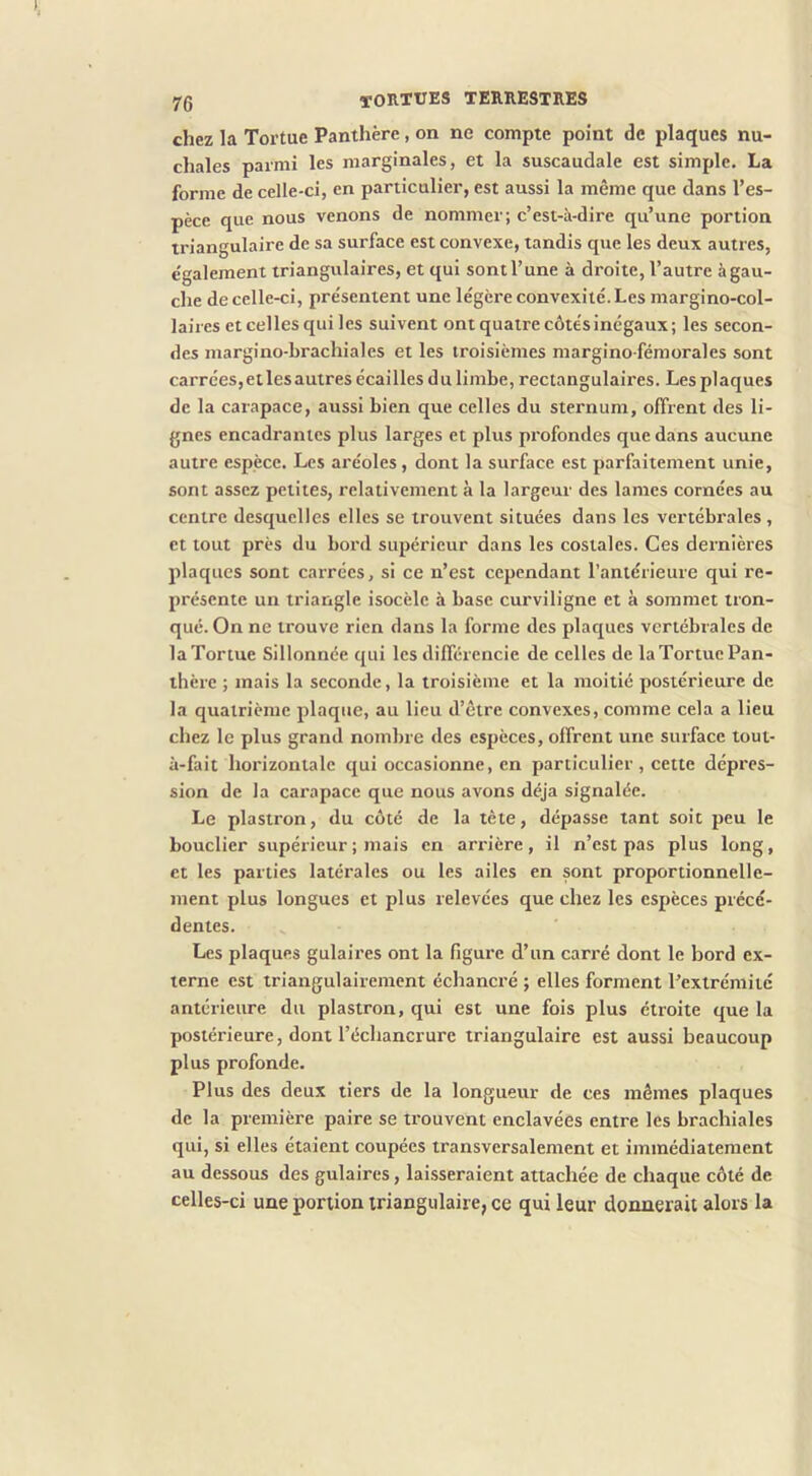 chez la Tortue Panthère, on ne compte point de plaques nu- chales parmi les marginales, et la suscaudale est simple, La forme de celle-ci, en particulier, est aussi la même que dans l’es- pèce que nous venons de nommer; c’est-à-dire qu’une portion triangulaire de sa surface est convexe, tandis que les deux autres, e'galement triangulaires, et qui sont l’une à droite, l’autre à gau- che de celle-ci, pre'sentent une légère convexité. Les margino-col- laires et celles qui les suivent ont quatre côte'sinégaux; les secon- des margino-brachiales et les troisièmes margino fémorales sont carrées, et les autres écailles du limbe, rectangulaires. Les plaques de la carapace, aussi bien que celles du sternum, offrent des li- gnes encadrantes plus larges et plus profondes que dans aucune autre espèce. Les aréoles, dont la surface est parfaitement unie, sont assez petites, relativement à la largeur des lames cornées au centre desquelles elles se trouvent situées dans les vertébrales , et tout près du bord supérieur dans les costales. Ces dernières plaques sont carrées, si ce n’est cependant l’antérieure qui re- présente un triangle isocèle à base curviligne et à sommet tron- qué. On ne trouve rien dans la forme des plaques vertébrales de la Tortue Sillonnée qui les différencie de celles de la Tortue Pan- thère ; mais la seconde, la troisième et la moitié postérieure de la quatrième plaque, au lieu d’être convexes, comme cela a lieu chez le plus grand nombre des espèces, offrent une surface tout- à-fait horizontale qui occasionne, en particulier, cette dépres- sion de la carapace que nous avons déjà signalée. Le plastron, du côté de la tète, dépasse tant soit peu le bouclier supérieur ; mais en arrière, il n’est pas plus long, et les parties latérales ou les ailes en sont proportionnelle- ment plus longues et plus relevées que chez les espèces précé- dentes. Les plaques gulaires ont la figure d’un carré dont le bord ex- terne est triangulairemcnt échancré ; elles forment Pextrémité antérieure du plastron, qui est une fois plus étroite que la postérieure, dont l’échancrure triangulaire est aussi beaucoup plus profonde. Plus des deux tiers de la longueur de ces mêmes plaques de la première paire se trouvent enclavées entre les brachiales qui, si elles étaient coupées transversalement et immédiatement au dessous des gulaires, lai.sseraient attachée de chaque côté de celles-ci une portion triangulaire, ce qui leur donnerait alors la