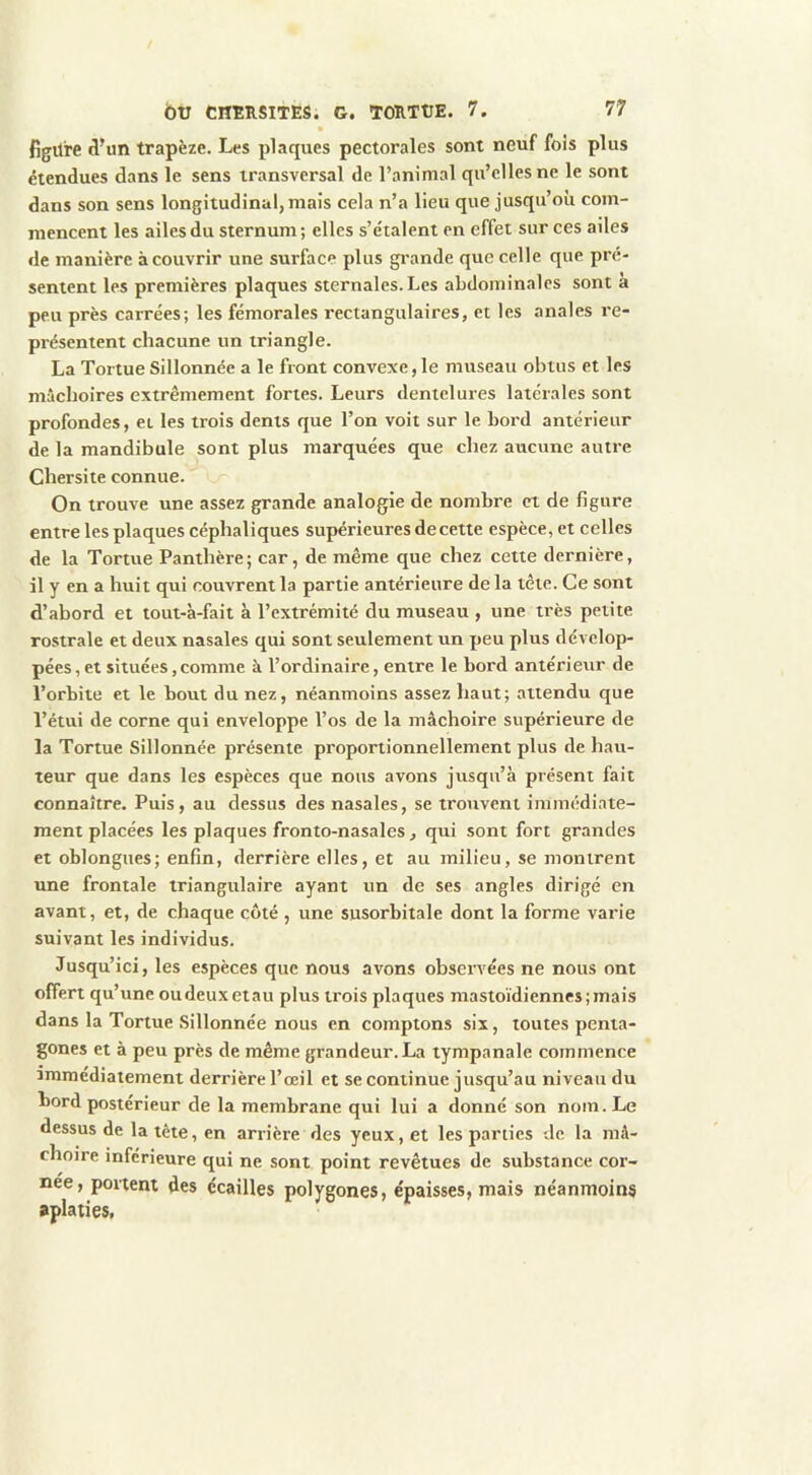• figure J’un trapèze. Les plaques pectorales sont neuf fois plus étendues dans le sens transversal de l’animal qu’elles ne le sont dans son sens longitudinal, mais cela n’a lieu que jusqu’où com- mencent les ailes du sternum; elles s’étalent en effet sur ces ailes de manière à couvrir une surface plus grande que celle que pré- sentent les premières plaques sternales. Les abdominales sont à peu près carrées; les fémorales rectangulaires, et les anales re- présentent chacune un triangle. La Tortue Sillonnée a le front convexe, le museau obtus et les mâchoires extrêmement fortes. Leurs dentelures latérales sont profondes, et les trois dents que l’on voit sur le bord antérieur de la mandibule sont plus marquées que chez aucune autre Chersite connue. On trouve une assez grande analogie de nombre et de figure entre les plaques céphaliques supérieures de cette espèce, et celles de la Tortue Panthère; car, de même que chez cette dernière, il y en a huit qui couvrent la partie antérieure de la tête. Ce sont d’abord et tout-à-fait à l’extrémité du museau , une très petite ro.strale et deux nasales qui sont seulement un peu plus dévelop- pées, et situées,comme à l’ordinaire, entre le bord antérieur de l’orbite et le bout du nez, néanmoins assez haut; attendu que l’étui de corne qui enveloppe l’os de la mâchoire supérieure de la Tortue Sillonnée présente proportionnellement plus de hau- teur que dans les espèces que nous avons jusqu’à présent fait connaître. Puis, au dessus des nasales, se trouvent immédiate- ment placées les plaques fronto-nasales, qui sont fort grandes et oblongues; enfin, derrière elles, et au milieu, se montrent une frontale triangulaire ayant un de ses angles dirigé en avant, et, de chaque côté , une susorbitale dont la forme varie suivant les individus. Jusqu’ici, les espèces que nous avons observées ne nous ont offert qu’une oudeuxetau plus trois plaques mastoïdiennes;mais dans la Tortue Sillonnée nous en comptons six, toutes penta- gones et à peu près de même grandeur. La tympanale commence immédiatement derrière l’oeil et se continue jusqu’au niveau du bord postérieur de la membrane qui lui a donné son nom. Le dessus de la tête, en arrière des yeux, et les parties de la mâ- choire inferieure qui ne sont point revêtues de substance cor- née, portent des écailles polygones, épaisses, mais néanmoins aplaties,
