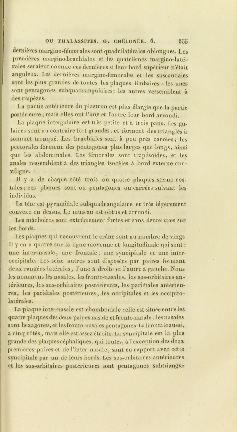 dernières margino-fémorales sont quadrilatérales oblongues. Les premières margino-brachiales et les quatrièmes margino-lalé- rales seraient comme ces dernières si leur bord supérieur n’était anguleux. Les dernières margino-fémorales et les suscaudales sont les plus grandes de toutes les plaques limbaires : les unes sont pentagones subquadrangnlaires; les autres ressemblent à des trapèzes. La partie antérieure du plastron est plus élargie que la partie postérieure ; mais elles ont l’une et l’autre leur bord arrondi. La plaque intergulaire est très petite et à trois pans. Les gu- laires sont au contraire foi-t grandes, et forment des triangles à sommet tronqué. Les brachiales sont à peu près carrées; les pectorales forment des pentagones plus larges que longs, ainsi que les abdominales. Les fémorales sont trapézoïdes, et les anales ressemblent à des triangles isocèles à bord externe cur- viligne. Il y a de chaque côté trois ou quatre plaques sterno-cos- tales; ces plaques sont ou pentagones ou carrées suivant les individus. La tête est pyramidale subquadrangulaire et très légèrement convexe en dessus. Le museau est obtus et arrondi. Les mâchoires sont extrêmement fortes et sans dentelures sur les bords. Le.s plaques qui recouvrent le crâne sont au nombre de vingt 11 y en a quatre sur la ligne moyenne et longitudinale qui sont : une inter-nasale, une frontale, une syncipilale et une inter- occipitale. Les seize autres sont disposées par paires formant deux rangées latérales, l’une à droite et l’autre à gauche. Nous les nommons les nasales, lesfronto-nasales, les sus-orbitaires an- térieures, les sus-orbitaires postérieures, les pariétales antérieu- res, les pariétales postérieures, les occipitales et les occipito- laiérales. La plaque inter-nasale est rhomboïdale : elle est située entre les quatre plaques des deux paires nasale etfronto-nasale; les nasales sont hexagones, et lesfronto-nasales pentagones.La frontale aussi, a cinq côtés, mais elle est assez étroite. La syncipitale est la plus grande des plaques céphaliques, qui toutes, à l’exception des deux premières paires et de l’inter-nasale, sont en rapport avec cette syncipitale par un de leurs bords. Les sus-orbitaires antérieures et les sus-oi'bitaires postérieures sont pentagones subtriangu-