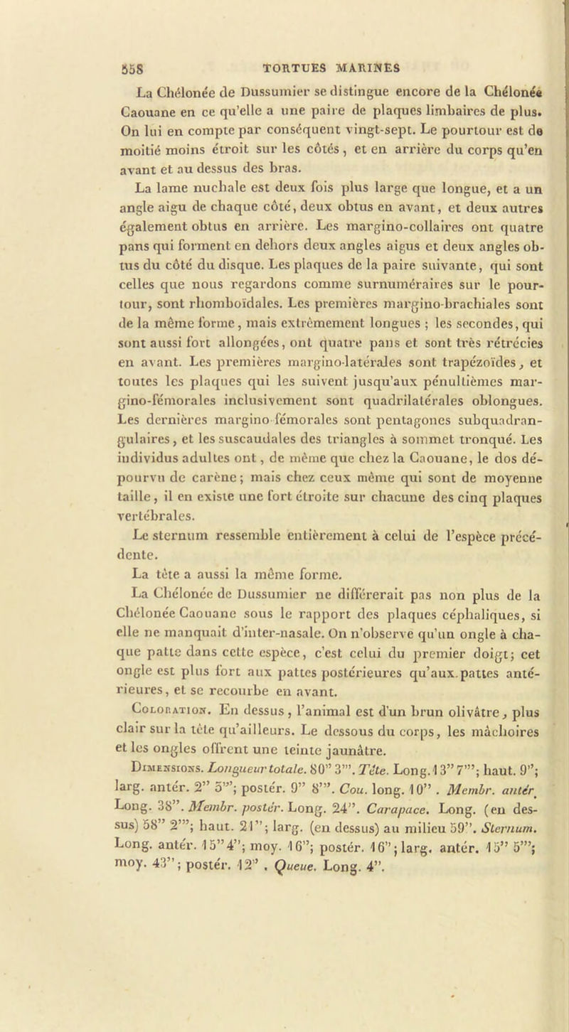 La Chélonée de Dussumier se distingue encore de la Chélonéa Caouane en ce qu’elle a une paire de plaques linibaires de plus. On lui en compte par conséquent vingt-sept. Le pourtour est de moitié moins étroit sur les côtés , et en arrière du corps qu’en avant et au dessus des bras. La lame nucliale est deux fois plus large que longue, et a un angle aigu de chaque côté, deux obtus en avant, et deux autres également obtus en arrière. Les margino-collaircs ont quatre pans qui forment en dehors deux angles aigus et deux angles ob- tus du côté du disque. Les plaques de la paire suivante, qui sont celles que nous regardons comme surnuméraires sur le pour- tour, sont rhomboidales. Les premières margiuo-brachiales sont de la même forme, mais extrêmement longues ; les secondes, qui sont aussi fort allongées, ont quatre pans et sont très rétrécies en avant. Les premières margino-latérales sont trapézoïdes^ et toutes les plaques qui les suivent jusqu’aux pénultièmes mar- gino-fémorales inclusivement sont quadrilatérales oblongues. Les dernières margino fémorales sont pentagones subquaclran- gulaires, et les suscaudales des triangles à sommet tronqué. Les individus adultes ont, de même que chez la Caouane, le dos dé- pourvu de carène ; mais chez ceux même qui sont de moyenne taille, il en existe une fort étroite sur chacune des cinq plaques vertébrales. Le sternum ressemble entièrement à celui de l’espèce précé- dente. La tête a aussi la même forme. La Chélonéc de Dussumier ne différerait pas non plus de la Chélonée Caouane sous le rapport des plaques céphaliques, si elle ne manquait d’inter-nasale. On n’observe qu’un ongle à cha- que patte dans cette espèce, c’est celui du premier doigtj cet ongle est plus fort aux pattes postéi'ieures qu’aux, pattes anté- rieures, et se recourbe en avant. CoLonATioN. En dessus, l’animal est d’un brun olivâtre, plus clair sur la tête qu’ailleurs. Le dessous du corps, les mâchoires et les ongles offrent une teinte jaunâtre. Dimensions. Longueur totale. 80” 3’”. Tête. Long.13” 7’”; haut. 9”; larg. antér. 2” 5’”; postée. 9” 8’”. Cou. long. 10” . Membr. antér^ Long. 38”. il/ewâr. posti/r. Long. 24”. Carapace, Long, (eu des- sus) 58” 2’”; haut. 21”; larg. (en dessus) au milieu 59”. Sternum. Long, antér. 15”4”; moy. 16”; poster. 16”;larg. antér. 15” 5’”; moy. 43”; postée. 12” . Queue. Long. 4”.