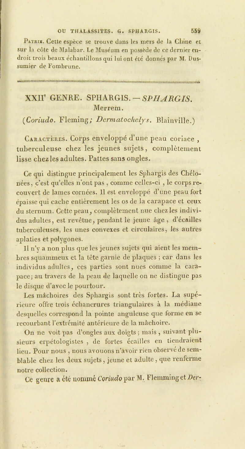 Patrib. Cette espèce se trouve dans les mers de la Chine et sur la côte de Malabar. Le Muséum en possède de ce dernier en- droit trois beaux échantillons qui lui ont été donnés par M. Dus- sumier de Fombrune. XXir GENRE. SmARGlS. — SPB^RGIS. Merrem. (Coriudo. Fleming; Dermatocheljs. Blainville.) Caractères. Corps enveloppé d’une peau coriace , tuberculeuse chez les jeunes sujets, complètement lisse chez les adultes. Pattes sans ongles. Ce qui distingue principalement les Sphargis des Chélo- nées, c’est qu’elles n’ont pas , comme celles-ci , le corps re- couvert de lames cornées. Il est enveloppé d’une peau fort épaisse qui cache entièrement les os de la carapace et ceux du sternum. Cette peau, complètement nue chez les indivi- dus adultes, est revêtue, pendant le jeune âge , d’écailles tuberculeuses, les unes convexes et circulaires, les autres aplaties et polygones. Il n’y a non plus que les jeunes sujets qui aient les mem- bres squanuneux et la tête garnie de plaques ; car dans les individus adultes, ces parties sont nues comme la cara- pace; au travers de la peau rie laquelle on ne distingue pas le disque d’avec le pourtour. Les mâchoires des Spliargis sont très fortes. La supé- rieure offre trois échancrures triangulaires à la médiane desquelles coiTespond la pointe anguleuse que forme en se recourbant l’extrémité antérieure de la mâchoire. On ne voit pas d’ongles aux doigts ; mais , suivant plu- sieurs erpétologistes , de fortes écailles en tiendraient lieu. Pour nous , nous avouons n’avoir rien observé de sem- blable chez les deux sujets, jeune et adulte, que renferme notre collection. Ce genre a été nommé Cçriucio par M. Flemminget7?er-