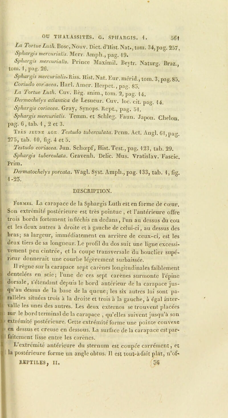 ou TII AL ASSITES. G. SPIÏAHGIS. '1. 56) La TortueLuih.Y\osc,l^ouy. Dict. d’Hist.Nat.,tom. 34,pag. 257. Sphargis mercnnalis. Merr, Ampli., pag. 19. Sphargis mercurialis. Prince Maximil. Beytr. Naturg. Braz., tom. I, pag. 26. Sphargis mercurialis.Riss. Hist. Nat. Eur.mérid., tom. 3, pag.85. Coriuclo cor'.acca. Harl. Amer. Herpet., pag. 85. Tortue Luth. Cuv. Règ. anim., tom. 2, pag. 14. Dennochely-s atlantica de Lesueur. Cuv. loc. cit. pag. 14 Sphargis coriacea. Gray, Synops. Rept., pag. 51. Sphargis mercurialis. Temm. et Schleg. Faun. Japon. Chelou. pag. G, tab. 1,2 et 3. Tbês jeune AGE. Jcjfw/o niJercu/fl/rt. Penn. Act. Angl. CI pag. 275, tab. 10, fig. 4 et 5. Testudo coriacea. Jun. Schœpf, Hist. Test., pag. 123, tab. 29. Sphargis tuberculata. Gravenh. Délie. Mus. Vratislav. Fascic. Prim. Dermatochelys porcata. Wagl. Syst. Amph., pag. 133, tab. 1, fig. 4-25. I DESCRIPTION. Formes. La carapace de la Sphargis Luth est en forme de cœur. Son extrémité postérieure est très pointue , et l’antérieure offre trois bords fortement infléchis en dedans, l’un au dessus du cou et les deux autres à droite et à gauche de celui-ci, au dessus des bras; sa largeur, immédiatement en arrière de ceux-ci, est les deux tiers de sa longueur. Le pi’ofil du dos suit une ligue excessi- vement peu cintrée, et la coupe transversale du bouclier supé- rieur donnerait une courbe légèrement surbaissée. I Il règne sur la carapace sept carènes longitudinales faiblement dentelees en scie ; 1 une de ces sept carènes surmonte l’épine dorsale, setendant depuis le bord antérieur de la carapace jus- qu au dessus de la base de la queue; les six autres lui sont pa- rallèles situées trois à la droite et trois à la gauche, à égal inter- valle les unes des autres. Les deux exlerne-s se trouvent placées sur le bord terminal de la carapace , qu’elles suivent jusqu’à son extrémité postérieure. Cette extrémité forme une pointe convexe en dessus et creuse en dessous. La surface de la carapace est par- faitement lisse entre les carènes. L’extrémité antérieure du sternum est coupée carrément, et la postérieure forme un angle obtus. Il est tout-à-fait plat, n’of-