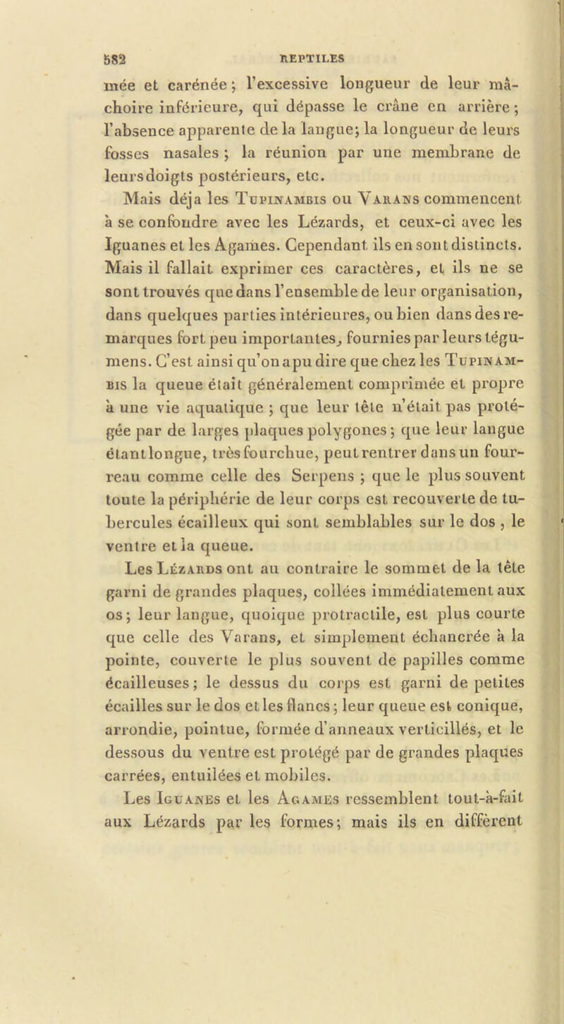 niée et carénée ; l’excessive longueur de leur mâ- choire inférieure, qui dépasse le crâne en arrière ; l’absence apparente de la langue; la longueur de leurs fosses nasales ; la réunion par une membrane de leursdoigts postérieurs, etc. Mais déjà les Tupinambis ou Varans commencent à se confondre avec les Lézards, et ceux-ci avec les Iguanes et les Agames. Cependant ils en sont distincts. Mais il fallait exprimer ces caractères, et ils ne se sont trouvés que dans l’ensemble de leur organisation, dans quelques parties intérieures, ou bien dans des re- mai'ques fort peu importantes, fournies par leurs tégu- mens. C’est ainsi qu’onapu dire que chez les Tupinam- Bis la queue était généralement comprimée et propre à une vie aquatique ; que leur tête n’était pas proté- gée par de larges plaques polygones ; que leur langue étantlongue, très fourchue, peut rentrer dans un four- reau comme celle des Serpens ; que le plus souvent toute la périphérie de leur corps est recouverte de tu- bercules écailleux qui sont semblables sur le dos , le ventre et la queue. Les Lézards ont au conti'aire le sommet de la tête garni de grandes plaques, collées immédiatement aux os; leur langue, quoique jirotraclile, est plus courte que celle des Varans, et simplement échancrée à la pointe, couverte le plus souvent de papilles comme écailleuses; le dessus du corps est garni de petites écailles sur le dos et les flancs ; leur queue est conique, arrondie, pointue, formée d’anneaux verticillés, et le dessous du ventre est protégé par de grandes plaques carrées, entoilées et mobiles. Les Iguanes et les Agames ressemblent tout-à-fait aux Lézards par les formes; mais ils en diffèrent