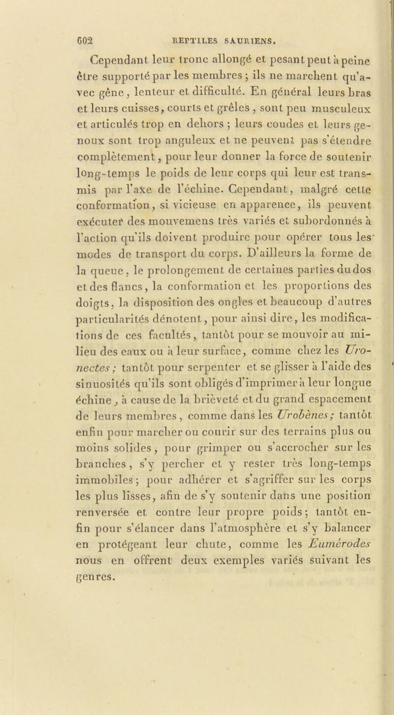 Cependant leur tronc allongé et pesant peut à peine être supporté par les membres ; ils ne marchent qu’a- vec gêne, lenteur et difficulté. En général leurs bras et leurs cuisses, courts et grêles , sont peu musculeux et articulés trop en dehors ; leurs coudes et leurs ge- noux sont trop anguleux et ne peuvent pas s’étendre complètement, pour leur donner la force de soutenir long-temps le poids de leur corps qui leur est trans- mis par l’aîce de l’échine. Cependant, malgré cette conformation, si vicieuse en apparence, ils peuvent exécute? des mouvemens très variés et subordonnés à l’action qu’ils doivent produire pour opérer tous les' modes de transport du corps. D’ailleurs la forme de la queue, le prolongement de certaines parties du dos et des flancs, la conformation et les proportions des doigts, la disposition des ongles et beaucoup d’autres particularités dénotent, pour ainsi dire, les modifica- tions de ces facultés, tantôt pour se mouvoir au mi- lieu des eaux ou à leur surface, comme chez les Uro- nectes ; tantôt pour serpenter et se glisser a l’aide des sinuosités qu’ils sont obligés d’imprimer h leur longue échine, à cause de la brièveté et du grand espacement de leurs membres, comme dans les Urohènes; tantôt enfin pour marcher ou courir sur des terrains plus ou moins solides, pour grimper ou s’accrocher sur les branches, s’y percher et y rester très long-temps immobiles; pour adhérer et s’agriffer sur les corps les plus lisses, afin de s’y soutenir dans une position renversée et contre leur propi’e poids ; tantôt en- fin pour s’élancer dans l’atmosphère et s’y balancer en protégeant leur chute, comme les Eumérodes nous en offrent deux exemples variés suivant les genres.
