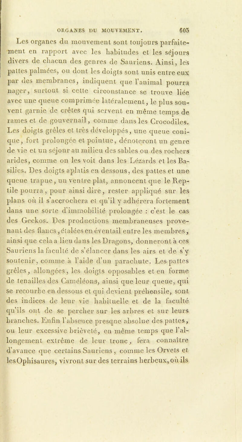 Les organes du mouvement sont toujours parfaite- ment en rapport avec les habitudes et les séjours divers de chacun des genres de Sauriens. Ainsi, les pattes palmées, ou dont les doigts sont unis entre eux par ues membranes, indicjuent que l'animal pourra nager, surtout si cette circonstance se trouve liée avec une queue comprimée latéralement, le plus sou- vent garnie de crêtes qui servent en même temps de rames et de gouvernail, comme dans les Crocodiles. Les doigts grêles et très développés, une queue coni- que, fort prolongée et pointue, dénoteront un genre de vie et un séjour au milieu des sables ou des rochers arides, comme on les voit dans les Lézards et les Ba- silics. Des doigts aplatis en dessous, des pattes et une queue trapue, un ventre plat, annoncent que le B.ep- lile pourra , pour ainsi dire, rester appliqué sur les plans où il s’accrochera et qu’il y adhérera fortement dans une sorte d’immobilité prolongée : c’est le cas des Geckos. Des productions membraneuses prove- nant des flancs, étalées en éventail entre les membres, ainsi que cela a lieu dans les Dragons, donneront cà ces Sauriens la faculté de s’élancer dans les airs et de s’y soutenir, comme a l’aide d’un paraehute. Les pattes grêles, allongées, les doigts opposables et en forme de tenailles des Caméléons, ainsi que leur queue, qui se recourbe en dessous et qui devient préhensile, sont des indices de leur vie habituelle et de la faculté qu’ils ont de se percher sur les arbres et sur leurs branches. Enfin l’absence presque absolue des pattes, ou leur excessive brièveté, en même temps que l’al- longement extrême de leur tronc, fera connaître d’avance que certains Sauriens , comme les Orvets et lesOphisaures, vivront sur des terrains herbeux, où ils