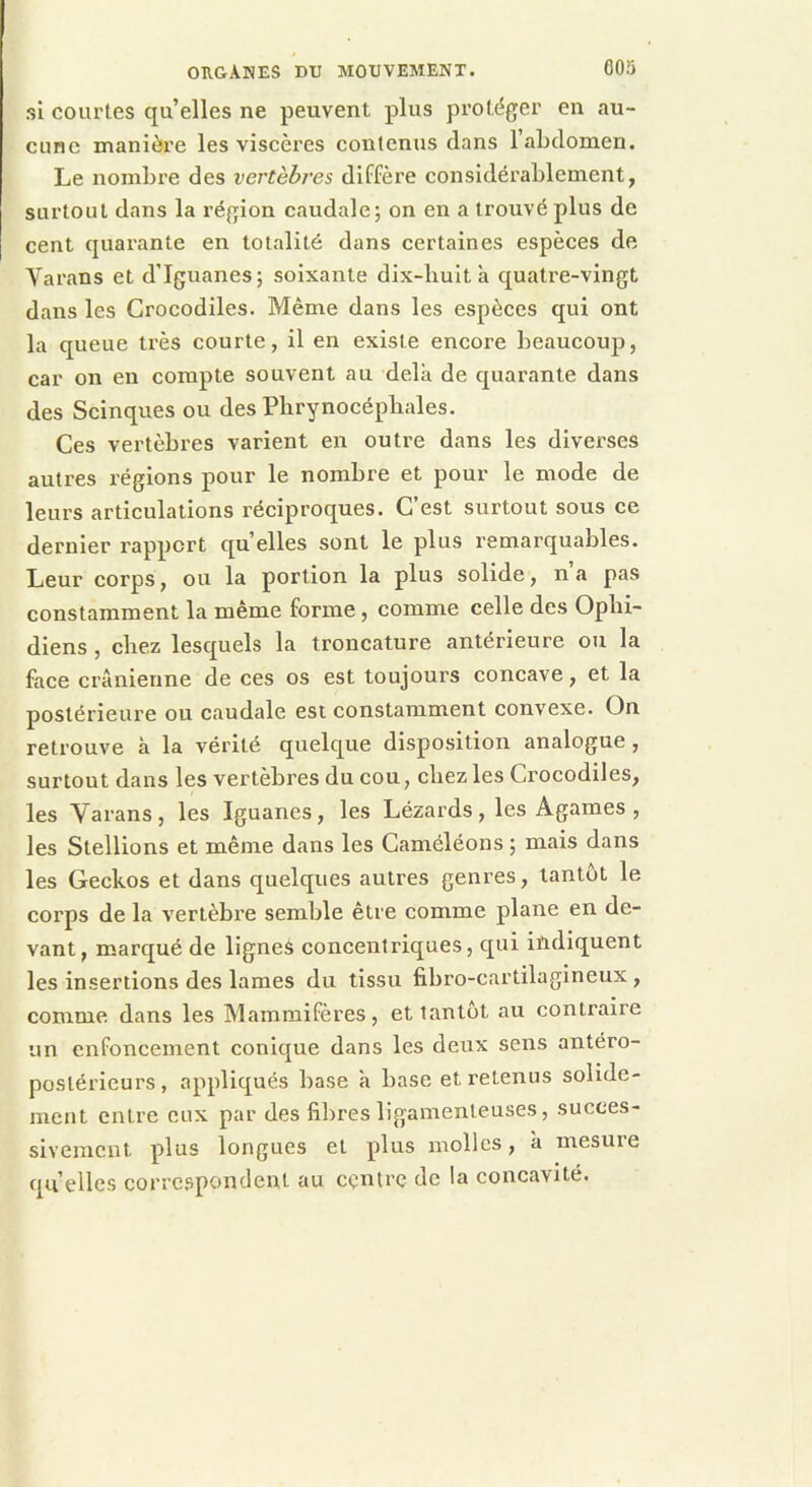 si courtes qu’elles ne peuvent plus protéger en au- cune manière les viscères contenus dans l’abdomen. Le nombre des vertèbres diffère considérablement, surtout dans la région caudale; on en a trouvé plus de cent quarante en totalité dans certaines espèces de Varans et d’iguanes; soixante dix-bult a quatre-vingt dans les Crocodiles. Même dans les espèces qui ont la queue très courte, il en existe encore beaucoup, car on en compte souvent au delà de quarante dans des Scinques ou des Pbrynocépliales. Ces vertèbres varient en outre dans les diverses autres régions pour le nombre et pour le mode de leurs articulations réciproques. C est surtout sous ce dernier rapport qu’elles sont le plus remarquables. Leur corps, ou la portion la plus solide, n a pas constamment la même forme , comme celle des Ophi- diens , chez lesquels la troncature antérieure ou la face crânienne de ces os est toujours concave, et la postérieure ou caudale est constamment convexe. On retrouve à la vérité quelque disposition analogue, surtout dans les vertèbres du cou, cliez les Crocodiles, les Varans, les Iguanes, les Lézards, les Agames , les Stellions et même dans les Caméléons ; mais dans les Geckos et dans quelques autres genres, tantôt le corps de la vertèbre semble être comme plane en de- vant, marqué de lignes concentriques, qui indiquent les insertions des lames du tissu fibro-cartilagineux, comme dans les Mammifères, et tantôt au contraire un enfoncement conique dans les deux sens antéro- postérieurs , appliqués base à base et retenus solide- ment entre eux par des fibres ligamenteuses, succes- sivement plus longues et plus molles, à mesure quelles correspondent au centre de la concavité.
