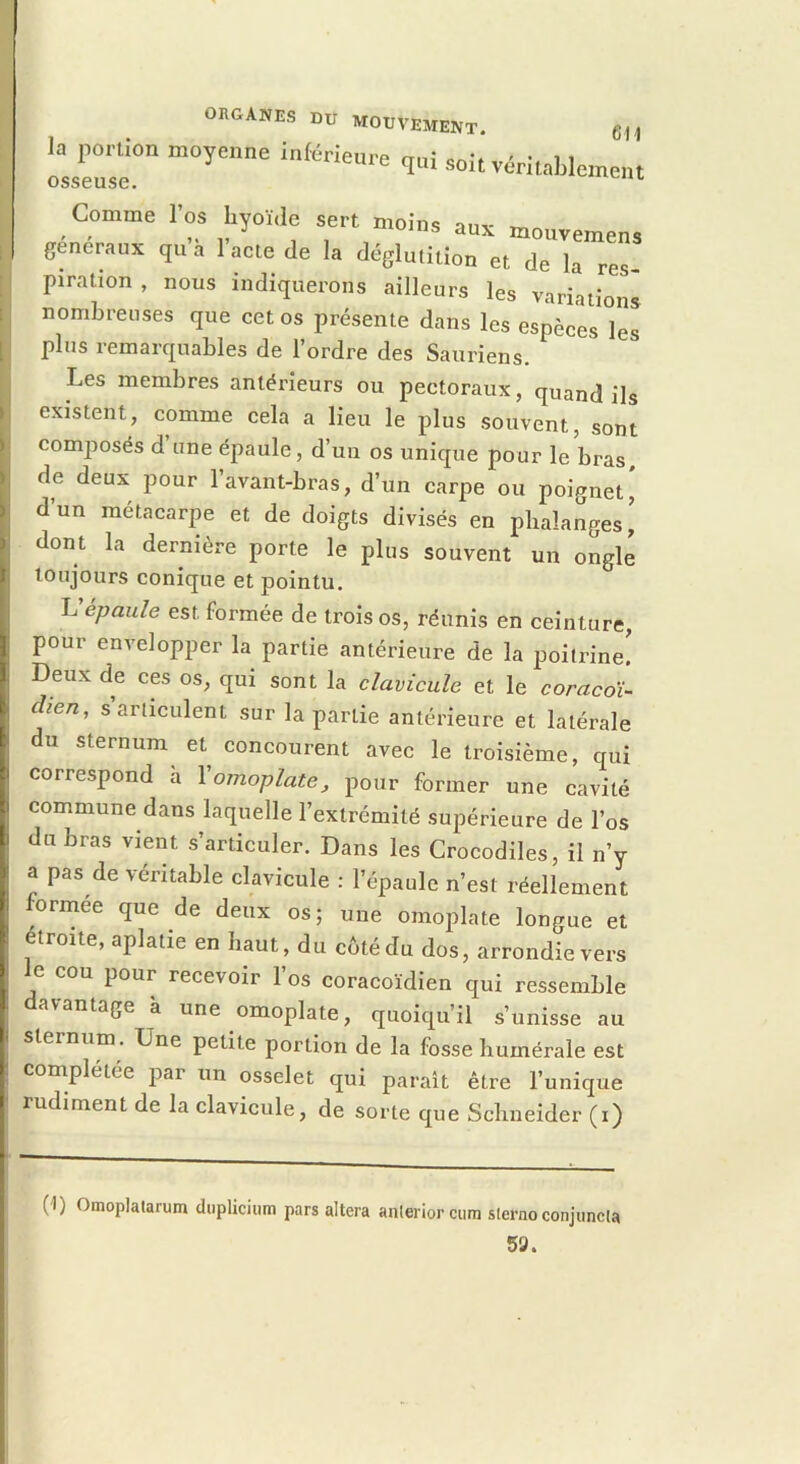 la portion osseuse. ORGANES DU MOUVEMENT. CM moyenne inférieu ro qui soit véritablement Comme l’os byoï.le sert moins aux mouvemens generaux qu a 1 acte de la déglutition et de la res- piration , nous indiquerons ailleurs les variations nombreuses que cet os présente dans les espèces les plus remarquables de l’ordre des Sauriens. Les membres antérieurs ou pectoraux, quand ils existent, comme cela a lieu le plus souvent, sont comiDosés d une épaule, d’un os unique pour le bras de deux pour l’avant-bras, d’un carpe ou poignet, d un métacarpe et de doigts divisés en phalanges, dont la dernière porte le plus souvent un ongle toujours conique et pointu. Vépaule est formée de trois os, réunis en ceinture, pour envelopper la partie antérieure de la poitrine! Deux de ces os, qui sont la clavicule et le coracoï- dien, s articulent sur la partie antérieure et latérale du sternum et concourent avec le troisième, qui correspond à l'omoplate, pour former une cavité commune dans laquelle l’extrémité supérieure de l’os du bras vient s’articuler. Dans les Crocodiles, il n’y a pas de véritable clavicule : l’épaule n’est réellement formée que de deux os; une omoplate longue et étroite, aplatie en haut, du cètédu dos, arrondievers le cou pour recevoir l’os coracoïdien qui ressemble avantage à une omoplate, quoiqu’il s’unisse au sternum. Une petite portion de la fosse humérale est complétée par un osselet qui parait être l’unique rudiment de la clavicule, de sorte que Schneider (i) (I) Oraoplalarum dupliciiim pars altéra anleriorcum slernoconjuncla 59.