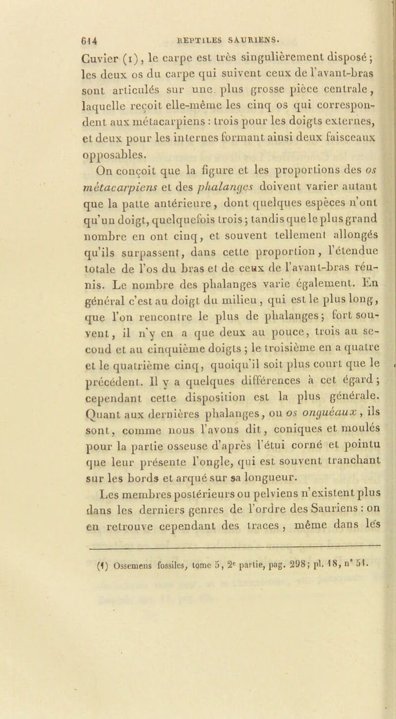 Cuvier (i) , le carpe est très singulièrement disposé; les deux os du carpe qui suivent ceux de l’avant-bras sont articulés sur une plus grosse pièce centrale, laquelle reçoit elle-même les cinq os qui correspon- dent aux métacarpiens : trois pour les doigts externes, et deux pour les internes formant ainsi deux faisceaux opposables. On conçoit que la figure et les proportions des o.y métacarpiens et des phalamjes doivent varier autant que la patte antérieure, dont quelques espèces n’ont qu’un doigt, quelquefois trois; tandis que le plus grand nombre en ont cinq, et souvent tellement allongés qu’ils surpassent, dans cette proportion, l’étendue totale de l’os du bras et de ceux de l’avant-bras réu- nis. Le nombre des phalanges varie également. Kn général c’est au doigt du milieu , qui est le plus long, que l’on rencontre le plus de phalanges; fort sou- vent, il n'y en a que deux au pouce, trois au se- cond et au cinquième doigts ; le troisième en a quatre et le quatrième cinq, quoiqu’il soit plus court que le précédent. Il y a quelques différences à cet égard ; cependant cette disposition est la plus générale. Quant aux dernières phalanges, ou os oncjuéaux , ils sont, comme nous l’avons dit, coniques et moulés pour la partie osseuse d’après l’étui corné et pointu que leur présente l’ongle, qui est souvent tranchant sur les bords et arqué sur sa longueur. Les membres postérieurs ou pelviens n’existent plus dans les derniers genres de l’ordre des Sauriens : on en retrouve cependant des traces , même dans les (1) Ossemens fossiles, lorae 5, 2' partie, pag. 298; pl. 18, n* 51.