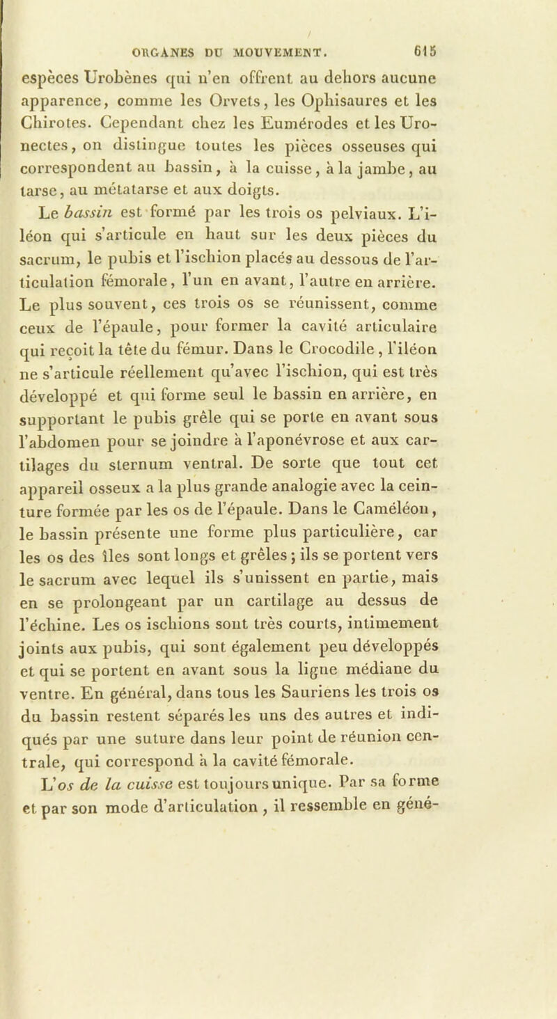 espèces Ui’obènes qui n’en offrent au dehors aucune apparence, comme les Orvets, les Opliisaures et les Chirotes. Cependant chez les Eumérodes et les Uro- nectes,on distingue toutes les pièces osseuses qui correspondent au bassin, à la cuisse, à la jambe, au tarse, au métatarse et aux doigts. Le bassin est formé par les trois os pelviaux. L’i- léon qui s’articule en haut sur les deux pièces du sacrum, le pubis et l’ischion placés au dessous de l’ar- ticulation fémorale, l’un en avant, l’autre en arrière. Le plus souvent, ces trois os se réunissent, comme ceux de l’épaule, pour former la cavité articulaire qui reçoit la tête du fémur. Dans le Crocodile, l’iléon ne s’articule réellement qu’avec l’ischion, qui est très développé et qui forme seul le bassin en arrière, en supportant le pubis grêle qui se porte en avant sous l’abdomen pour se joindre à l’aponévrose et aux car- tilages du sternum ventral. De sorte que tout cet appareil osseux a la plus grande analogie avec la cein- ture formée par les os de l’épaule. Dans le Caméléon, le bassin présente une forme plus particulière, car les os des îles sont longs et grêles ; ils se portent vers le sacrum avec lequel ils s’unissent en partie, mais en se prolongeant par un cartilage au dessus de l’échine. Les os ischions sont très courts, intimement joints aux pubis, qui sont également peu développés et qui se portent en avant sous la ligue médiane du ventre. En général, dans tons les Sauriens les trois os du bassin restent séparés les uns des autres et indi- qués par une suture dans leur point de réunion cen- trale, qui correspond a la cavité fémorale. L’o^ de la cuisse est toujours unique. Par sa forme et par son mode d’articulation , il ressemble en géné-