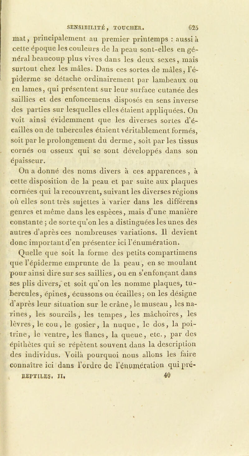 mat, principalement au premier printemps : aussi k cette époque les couleurs de la peau sont-elles en gé- néral beaucoup plus vives dans les deux sexes, mais surtout chez les mâles. Dans ces sortes de mâles, l’é- piderme se détaclie ordinairement par lambeaux ou en lames, qui présentent sur leur surface cutanée des saillies et des enfoncemens disposés en sens inverse des parties sur lesquelles elles étaient appliquées. On voit ainsi évidemment que les diverses sortes d’é- cailles ou de tubercules étaient véritablement formés, soit par le prolongement du derme , soit par les tissus cornés ou osseux qui se sont développés dans son épaisseur. ^ On a donné des noms divers k ces apparences, k cette disposition de la peau et par suite aux plaques cornées qui la recouvrent, suivant les diverses régions où elles sont très sujettes k varier dans les différens genres et même dans les espèces, mais d’une manière constante ; de sorte qu’on les a distinguées les unes des autres d’après ces nombreuses variations. 11 devient donc important d’en présenter ici l’énumération. Quelle que soit la forme des petits compartimens que l’épiderme emprunte de la peau, en se moulant pour ainsi dire sur ses saillies, ou en s’enfonçant dans ses plis divers,' et soit qu’on les nomme plaques, tu- bercules, épines, écussons ou écailles j on les désigne d’après leur situation sur le crâne, le museau, les na- rines , les sourcils, les tempes, les mâchoires, les lèvres, le cou, le gosier, la nuque, le dos, la poi- trine, le ventre, les flancs, la queue, etc., par des épilliètes qui se répètent souvent dans la description des individus. Voilk pourquoi nous allons les faire connaître ici dans l’ordre de l’énuméralion qui pré-