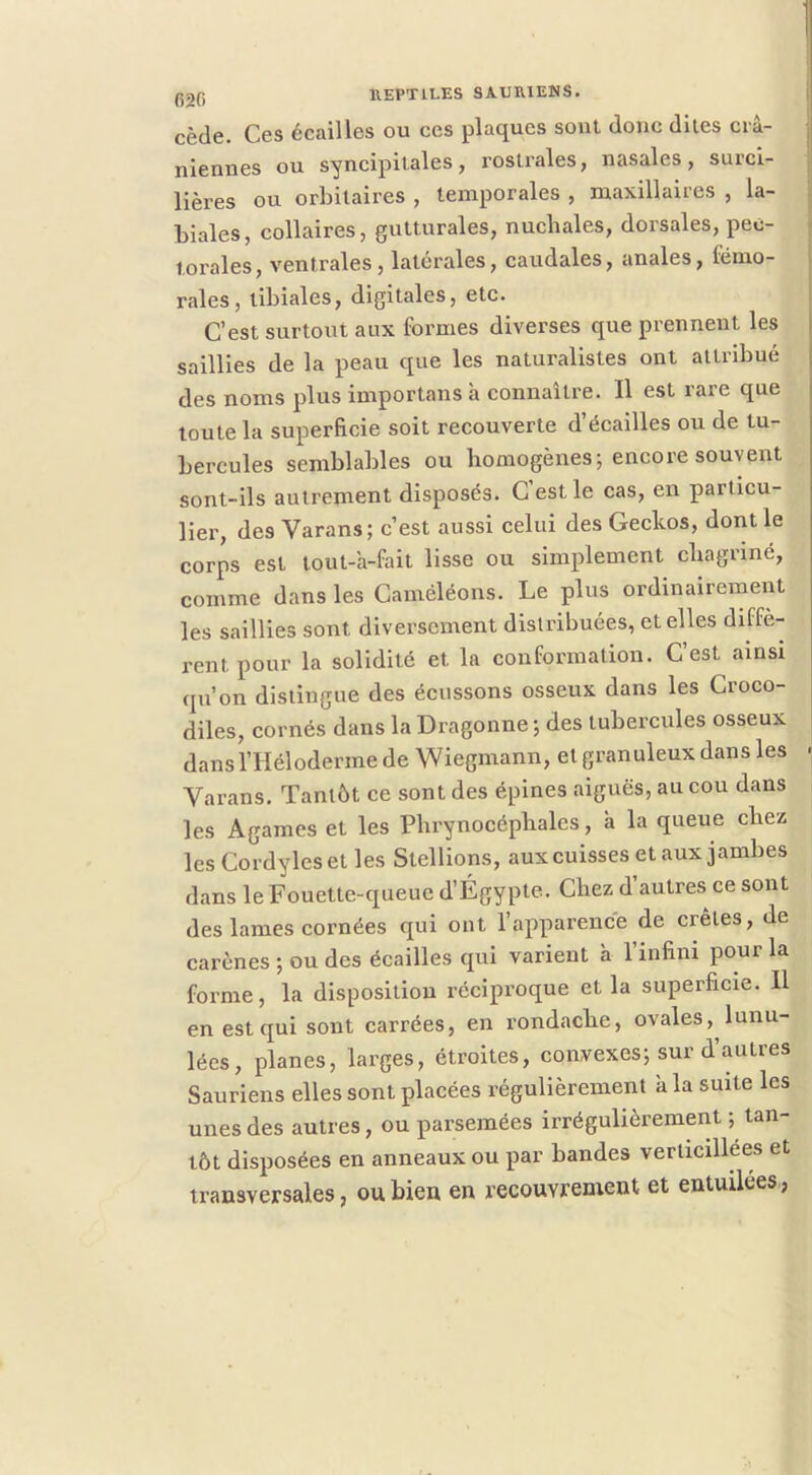 cède. Ces écailles ou ces plaques sont donc dites crâ- niennes ou syncipitales, l'oslrales, nasales, surci- lières ou orbitaires , temporales , maxillaires , la- biales, collaires, gutturales, nuchales, dorsales, pec- torales, ventrales, latérales, caudales, anales, fémo- rales, tibiales, digitales, etc. C’est surtout aux formes diverses que prennent les saillies de la peau que les naturalistes ont attribué des noms plus importans à connaître. Il est rare que toute la superficie soit recouverte d’écailles ou de tu- bercules semblables ou bomogènes; encore souvent sont-ils autrement disposés. C est le cas, en particu- lier, des Varans; c’est aussi celui des Geckos, dont le corps est tout-h-fait lisse ou simplement chagriné, comme dans les Caméléons. Le plus ordinairement les saillies sont diversement distribuées, et elles diffè- rent pour la solidité et la conformation. C est ainsi qu’on distingue des écussons osseux dans les Croco- diles, cornés dans la Dragonne ; des tubercules osseux dans l’Héloderme de Wiegmann, et granuleux dans les ^ Varans. Tantôt ce sont des épines aiguës, au cou dans les Agames et les Pbrynocépliales, h la queue chez les Cordylesetles Stellions, aux cuisses et aux jambes dans le Fouette-queue d’Égypte. Chez d autres ce sont des lames cornées qui ont l’apparence de crêtes, de carènes *, ou des écailles qui varient h l’infini pour la foi'me, la disposition réciproque et la superficie. Il en est qui sont carrées, en rondache, ovales, lunu- lées, planes, larges, étroites, convexes; sur d autres Sauriens elles sont placées régulièrement k la suite les unes des autres, ou parsemées irrégulièrement ; tan- tôt disposées en anneaux ou par bandes verticillees et transversales, ou bien en recouvrement et entuilées,