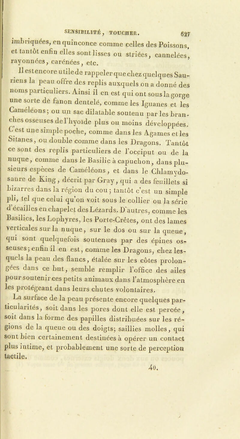 imbriquées, en quinconce comme celles des Poissons, et tantôt enfin elles sont lisses ou striées, cannelées* rayonnées, carénées, etc. llestencoreutilede rappeler que chez quelques Sau- riens la peau offre des replis auxquels on a donné des noms particuliers. Ainsi il en est qui ont sous la gorge une sorte dè fanon dentelé, comme les Iguanes et les Caméléons; ou un sac dilatable soutenu iiar les bran- dies osseuses de l’hyoïde plus ou moins développées. C est une simple poche, comme dans les Agames et les Sitanes, ou double comme dans les Dragons. Tantôt ce sont des replis particuliers de l’occiput ou de la nuque, comme dans le Basilic à capuchon, dans plu- sieurs espèces de Caméléons, et dans le Chlamydo- saure de King, décrit par Gray, qui a des feuillets si bizarres dans la région du cou; tantôt c’est un simple pli, tel que celui qu’on voit sous le collier ou la série d écailles en chapelet des Lézards. D'autres, comme les Basilics, lesLophyres, les Porte-Crêtes, ont des lames verticales sur la nuque, sur le dos ou sur la queue, qui sont quelquefois soutenues par des épiues os- seuses; enfin il en est, comme les Dragons, chez les- quels la peau des flancs, étalée sur les côtes prolon- gées dans ce but, semble remplir l’office des ailes pour soutenir ces petits animaux dans l’atmosphère en les protégeant dans leurs chutes volontaires. La surface de la peau présente encore quelques par- ticularités, soit dans les pores dont elle est percée, soit dans la forme des papilles distribuées sur les ré- gions de la queue ou des doigts; saillies molles, qui sont bien certainement destinées à opérer un contact plus intime, et probablement une sorte de perception tactile. 4ü.