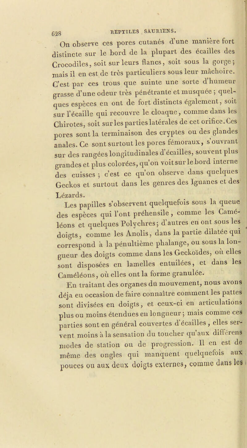 On observe ces pores cutanés d. une maniéré fort distincte sur le bord de la plupart des écailles des Crocodiles, soit sur leurs flancs, soit sous la gorge-, mais il en est de très particuliers sous leur mâchoire. j C’est par ces trous que. suinte une sorte d’humeur | grasse d’une odeur très pénétrante et musquée ; quel- ques espèces en ont de fort distincts également, soit sur l’écaille qui recouvre le cloaque, comme dans les Chirotes, soit surlespartieslatérales de cet orifice.Ces pores sont la terminaison des cryptes ou des glandes anales. Ce sont surtout les pores fémoraux, s’ouvrant sur des rangées longitudinales d’écailles, souvent plus grandes et plus colorées, qu’on voit sur le bord interne des cuisses ; c’est ce qu’on observe dans quelques Geckos et surtout dans les genres des Iguanes et des Lézards. Les papilles s’observent quelquefois sous la queue des espèces qui l’ont préhensile, comme les Camé- léons et quelques Polychres; d’autres en ont sous les doigts, comme les Anolis, dans la partie dilatée qui correspond a la pénultième phalange, ou sous la lon- gueur des doigts comme dans les Geckoïdes, oii elles sont disposées en lamelles entuilées, et dans les Caméléons, où elles ont la forme granulée. En traitant des organes du mouvement, nous avons déjà eu occasion de faire connaître comment les pattes sont divisées en doigts, et ceux-ci en articulations plus ou moins étendues eu longueur; mais comme ces parties sont en général couvertes d’écailles , elles ser- vent moins h la sensation du toucher qu aux differens niodes de station ou de progression. Il en est de même des ongles qui manquent quelquefois aux pouces ou aux deux doigts externes, comme dans les i