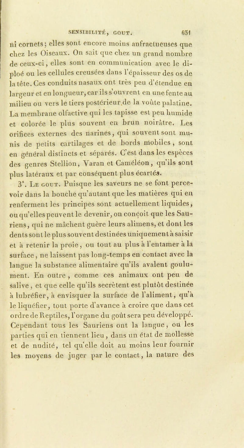 ni cornets; elles sont encore moins anfractueuses que chez les Oiseaux. On sait que chez un grand nombre de ceux-ci, elles sont en communication avec le di- ploé ou les cellules creusées dans l’épaisseur des os de la tête. Ces conduits nasaux ont très peu d’étendue en largeur et en longueur, car ils s’ouvrent en une fente au milieu ou vers le tiers postérieur.de la voûte palatine. La membrane olfactive qui les tapisse est peu humide et colorée le plus souvent en brun noirâtre. Les orifices externes des narines, qui souvent sont mu- nis de petits cartilages et de bords mobiles , sont en général distincts et séparés. C’est dans les espèces des genres Stellion, Varan et Caméléon, qu’ils sont plus latéraux et par conséquent plus écartés. 3°. Le GOUT. Puisque les saveurs ne se font perce- voir dans la bouche qu’autant que les matières qui en renferment les principes sont actuellement liquides, ou quelles peuvent le devenir, on conçoit que les Sau- riens, qui ne mâchent guère leurs alimens, et dont les dents sont le plus souvent destinées uniquement à saisir et a retenir la proie, ou tout au plus à l’entamer h la surface, ne laissent pas long-temps en contact avec la langue la substance alimentaire qu’ils avalent goulû- ment. En outre , comme ces animaux ont peu de salive , et que celle qu’ils secrétent est plutôt destinée à lubréfier, h envisquer la surface de l’aliment, qu’a le liquéfier, tout porte d’avance à croire que dans cet ordre de Pveptiles, l’organe du goût sera peu développé. Cependant tous les Sauriens ont la langue, ou les parties qui en tiennent lieu, dans un état de mollesse et de nudité, tel quelle doit au moins leur fournir les moyens de juger par le contact, la nature des