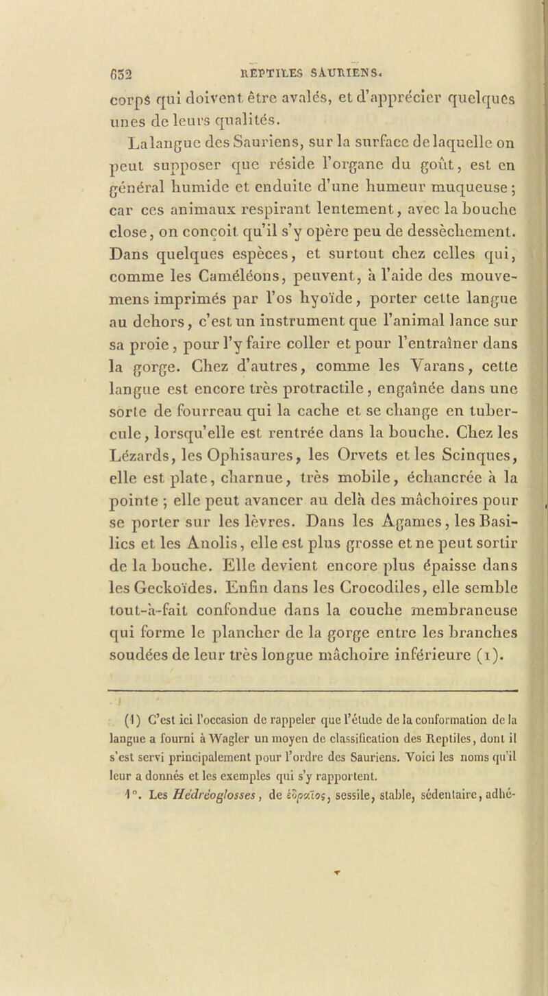 corps qui doivent être avalés, et d’apprécier quelques unes de leurs qualités. Lalaugue des Sauriens, sur la surface de laquelle on peut supposer que réside l’organe du goût, est en général humide et enduite d’une humeur muqueuse ; car ces animaux respirant lentement, avec la bouche close, on conçoit qu’il s’y opère peu de dessèchement. Dans quelques espèces, et surtout chez celles qui, comme les Caméléons, peuvent, à l’aide des mouve- mens imprimés par l’os hyoïde, porter cette langue au dehors, c’est un instrument que l’animal lance sur sa proie, pour l’y faire coller et pour l’entraîner dans la gorge. Chez d’autres, comme les Varans, cette langue est encore très protractile , engainée dans une sorte de fourreau qui la cache et se change en tuber- cule, lorsqu’elle est rentrée dans la bouche. Chez les Lézards, les Ophisaures, les Orvets et les Scinques, elle est plate, charnue, ti’ès mobile, échancrée à la pointe ; elle peut avancer au delà des mâchoires pour , se porter sur les lèvres. Dans les Agames, les Basi- lics et les Anolis, elle est plus grosse et ne peut sortir de la bouche. Elle devient encore plus épaisse dans les Geckoïdes. Enfin dans les Crocodiles, elle semble tout-à-fait confondue dans la couche membraneuse qui forme le plancher de la gorge entre les branches soudées de leur très longue mâchoire inférieure (i). ( I ) C’est ici l’occasion de rappeler que l’élude de la conformation de la langue a fourni à Wagler un moyen de classification des Reptiles, dont il s’est servi principalement pour l’ordre des Sauriens. Voici les noms qu'il leur a donnés et les exemples qui s’y rapportent. 1. Les Hèdréoghsses, de iZp'/ioiy sessile, stable, sédentaire, adhé-