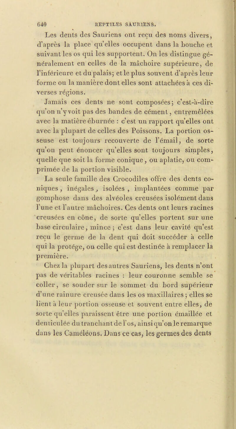 Les dents des Sauriens ont reçu des noms divers, d’après la place qu’elles occupent dans la bouclie et suivant les os qui les supportent. On les distingue gé- néralement en celles de la mâchoire supérieure, de l’inférieure et du palais; et le plus souvent d’après leur forme ou la manière dont elles sont attachées a ces di- verses régions. Jamais ces dents ne sont composées; c’est-a-dire qu’on n’y voit pas des handes de cément, entremêlées avec la matièreéhurnée : c’est un rapport quelles ont avec la plupart de celles des Poissons. La portion os- seuse est toujours recouverte de l’émail, de sorte qu’on peut énoncer qu’elles sont toujours simples, quelle que soit la forme conique, ou aplatie, ou com- primée de la portion visible. La seule famille des Crocodiles offre des dents co- niques , inégales ^ isolées , implantées comme par gompliose dans des alvéoles creusées isolément dans l’une et l’autre mâclioires. Ces dents ont leurs racines 'creusées en cône, de sorte quelles portent sur une hase circulaire, mince; c’est dans leur cavité qu’est reçu le germe de la dent qui doit succéder à celle qui la protège, ou celle qui est destinée h remplacer la première. Chez la plupart des autres Sauriens, les dents n’ont pas de véritables racines : leur couronne semble se coller, se souder sur le sommet du bord supérieur d’une rainure creusée dans les os maxillaires ; elles se lient à leur portion osseuse et souvent entre elles, de sorte quelles paraissent être une portion émaillée et deniiculée du. tranchant de l’os, ainsi qu’on le remarque dans les Caméléons, Dans ce cas, les germes des dents
