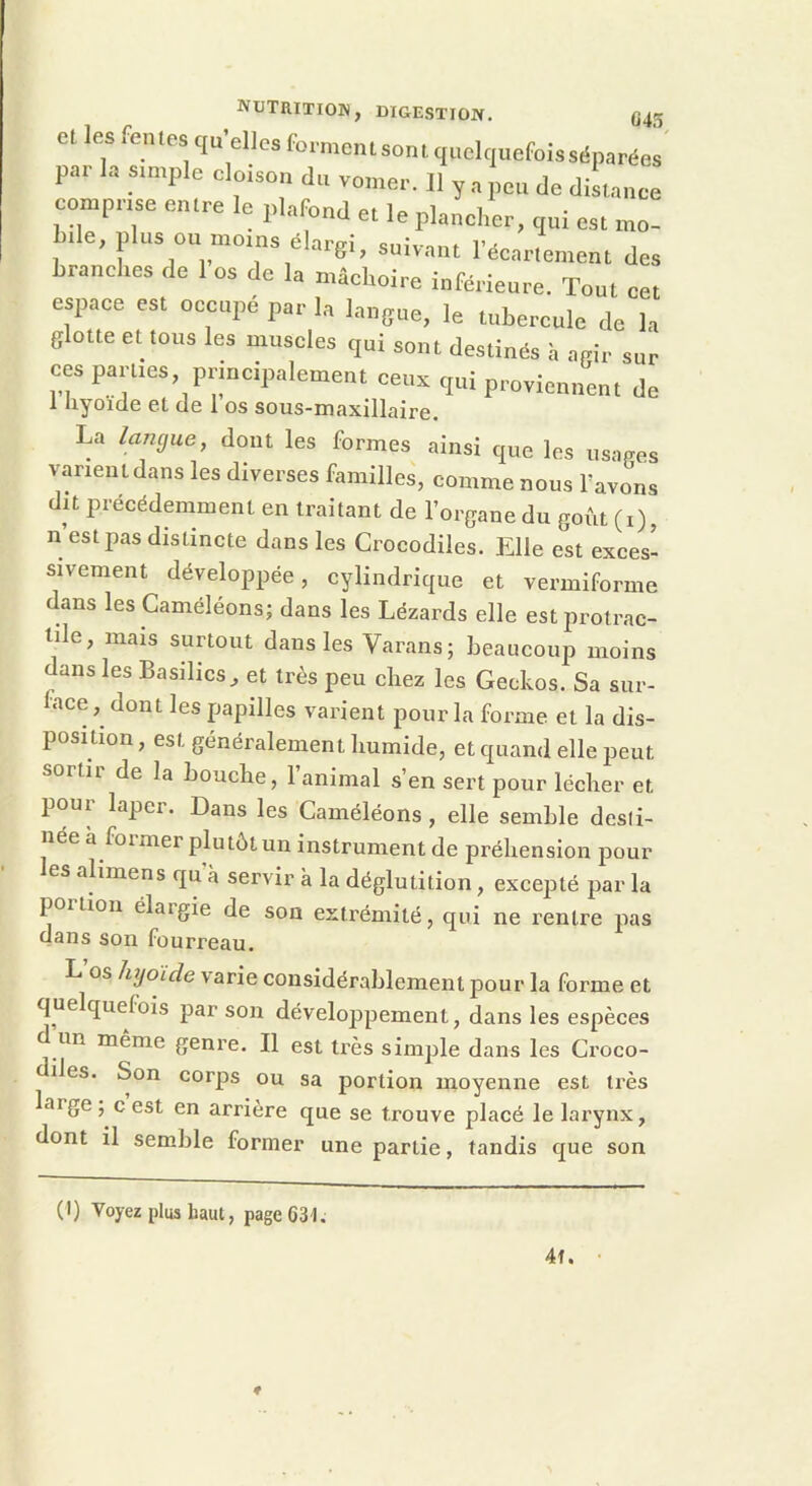 et les fentes quelles for; 'nient sont anelrmpfnîc — i /I X l|Ul ^ ut^sunes a agir sur qui proviennent de l’i •• 1 ^ 1 n ^ i:'*TL ue 1 hyoïde et de 1 os sous-maxillaire. La langue, dont les formes ainsi que les usapes varient dans les diverses familles, comme nous favons dit précédemment en traitant de l’organe du goût (i), n’est pas distincte dans les Crocodiles. Elle est exces- sivement développée, cylindrique et vermiforme dans les Caméléons; dans les Lézards elle estprotrac- lile, mais surtout dans les Varans; beaucoup moins dans les Basilics^ et très peu chez les Geckos. Sa sur- face dont les papilles varient pour la forme et la dis- position , est généralement humide, et quand elle peut sortit de la bouche, 1 animal s’en sert pour lécher et poui laper. Dans les Caméléons, elle semble desli- née à foi mer plutôt un instrument de préhension pour les ahmens qu’à servir à la déglutition, excepté par la portion élargie de son extrémité, qui ne rentre pas dans son fourreau. L’os hyoïde varie considérablement pour la forme et quelquefois par son développement, dans les espèces un meme genre. Il est très simple dans les Croco- diles. Son corps ou sa portion moyenne est très large ; c est en arrière que se trouve placé le larynx, dont il semble former une partie, tandis que son (1) Voyez plus haut, page C St. 4f.