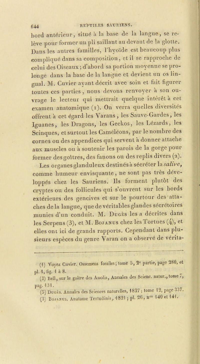 bord anlérieiir, situé à la base de la lan{rue, se re- lève pour former un pli saillant au devant de la glotte. Dans les autres familles, l’hyoïde est beaucoup plus compliqué dans sa composition , et il se rapproche de celui des Oiseaux ; d’abord sa portion moyenne se pro- longe dans la base de la langue et devient un os lin- gual. M. Cuvier ayant décrit avec soin et fait figurer toutes ces parties , nous devons renvoyer h son ou- vrage le lecteur qui mettrait quelque inlérêtà cet examen anatomique (i). On verra quelles diversités offrent a cet égard les Varans , les Sauve-Gardes, les Iguanes, les Dragons, les Geckos, les Lézards, les Scinques, et surtout les Caméléons, par le nombre des cornes ou des appendices qui servent à donner attache aux muscles ou à soutenir les parois de la gorge pour Ibrmer des goitres, des fanons ou des replis divers (2). Les organes glanduleux destinés h sécréter \asalwe, comme humeur envisquante, ne sont pas très déve- loppés chez les Sauriens. Ils forment plutôt des cryptes ou des follicules qui s ouvrent sur les bords extérieurs des gencives et sur le pourtour des‘atta- ches delà langue, que de véritables glandes sécrétoires munies d’un conduit. M. Dugès les a décrites dans les Serpens (3), et M. Bojanus chez lesTortues (4)» et elles ont ici de grands rapports. Cependant dans plu- sieurs espèces du genre Varan on a observé de vérita- (1) Voyez Cuvier. Ossemens fossiles; tomC 5, 2“ partie, page 280, et pl. 1, lig. 1 à 8. (2) Bell, sur le goitre des Auolis, Annales des Scienc. nalur,, tome /, pag. 13 ). (5) Dugès. Annales des Sciences naturelles, 1827 ; tome 12, page .337. (3) Bojanus, Anatonie Tesludinis, 1821 ; pt 20, n°’ 140 et 141.