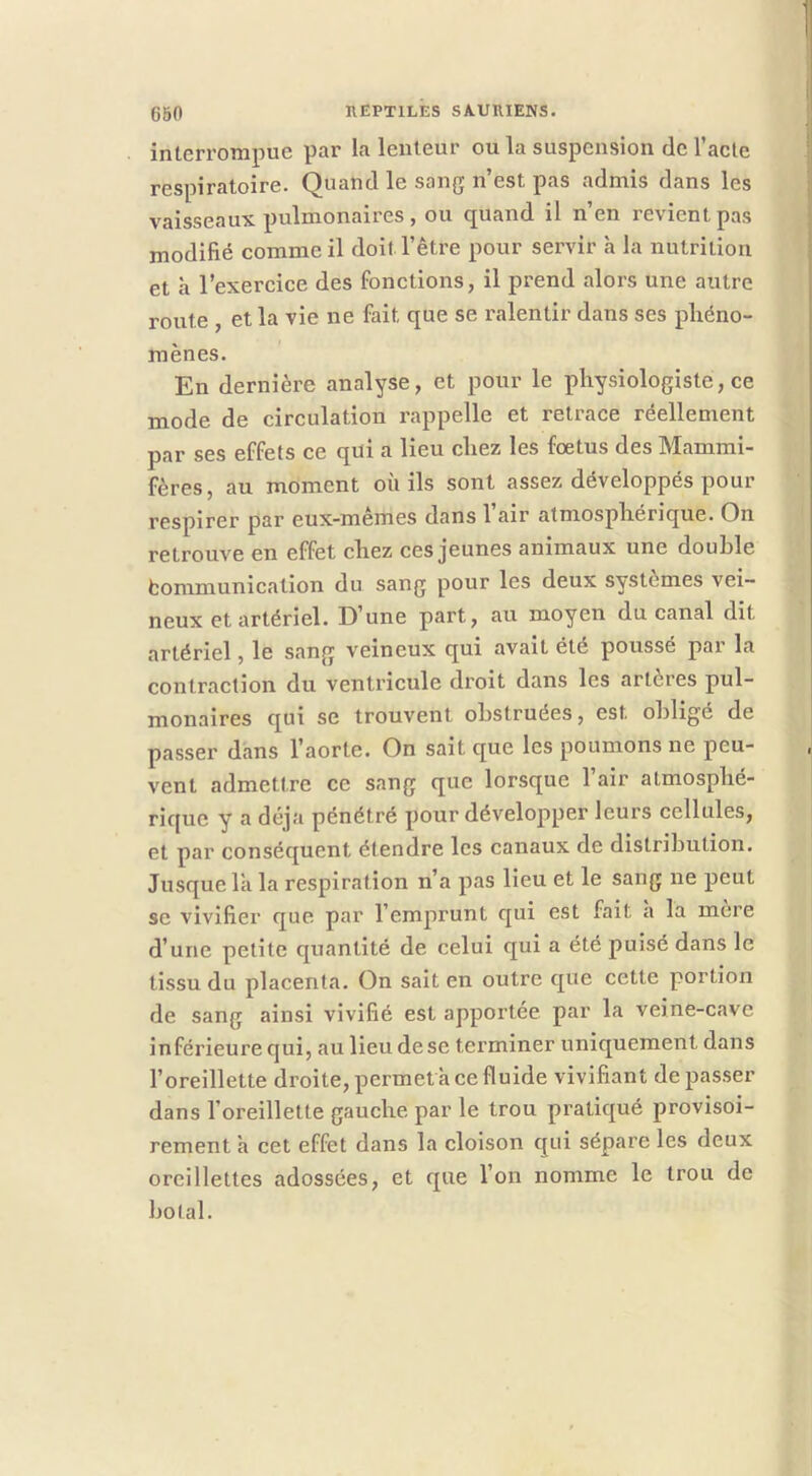 interrompue par la lenteur ou la suspension de l’acte respiratoire. Quand le sang n’est pas admis dans les vaisseaux pulmonaires , ou quand il n’en revient pas modifié comme il doit l’être pour servir à la nutrition et à l’exercice des fonctions, il prend alors une autre route , et la vie ne fait que se ralentir dans ses phéno- mènes. En dernière analyse, et pour le physiologiste, ce mode de circulation rappelle et retrace réellement par ses effets ce qui a lieu chez les foetus des Mammi- fères, au moment où ils sont assez développés pour respirer par eux-mêmes dans 1 air atmosphérique. On retrouve en effet chez ces jeunes animaux une double fcommunicalion du sang pour les deux systèmes vei- neux et artériel. D’une part, au moyen du canal dit artériel, le sang veineux qui avait été poussé par la contraction du ventricule droit dans les artères pul- monaires qui se trouvent obstruées, est oblige de passer dans l’aorte. On sait que les poumons ne peu- vent admettre ce sang que lorsque l’air atmosphé- rique y a déjà pénétré pour développer leurs cellules, et par conséquent étendre les canaux de distribution. Jusque la la respiration n’a pas lieu et le sang ne peut SC vivifier que par l’emprunt qui est fait a la mere d’une petite quantité de celui qui a été puisé dans le tissu du placenta. On sait en outre que cette portion de sang ainsi vivifié est apportée par la veine-cave inférieure qui, au lieu de se terminer uniquement dans l’oreillette droite, permet à ce fluide vivifiant dépasser dans l’oreillette gauche par le trou pratiqué provisoi- rement a cet effet dans la cloison qui sépare les deux oreillettes adossées, et que l’on nomme le trou de botal.