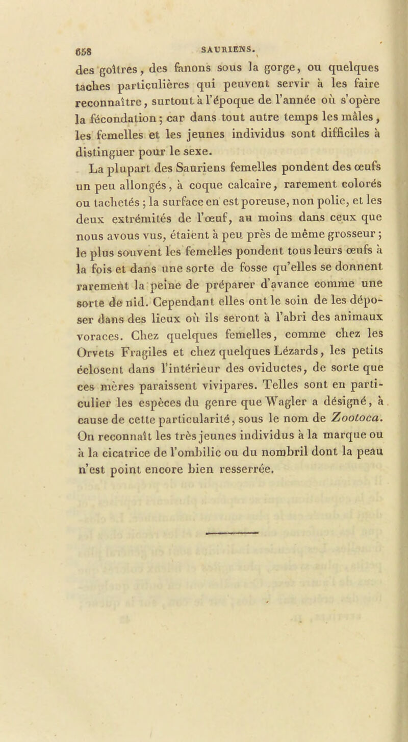 des‘goitres, des fimons sous la gorge, ou quelques taches particulières qui peuvent servir à les faire reconnaître, surtout a l’époque de l’année où s’opère la fécondation; car dans tout autre temps les mâles , les femelles et les jeunes individus sont difficiles à distinguer pour le sexe. La plupart des Sauriens femelles pondent des œufs un peu allongés, à coque calcaire, rarement colorés ou tachetés ; la surface en est poreuse, non polie, et les deux extrémités de l’œuf, au moins dans ceux que nous avous vus, étaient à peu près de même grosseur ; le plus souvent les femelles pondent tous leurs œufs k la fois et dans une sorte de fosse qu’elles se donnent i-arement la peine de préparer d’avance comme une sorte de nid. Cependant elles ont le soin de les dépo- ser dans des lieux où ils seront k l’abri des animaux voraces. Chez quelques femelles, comme chez les Orvets Fragiles et chez quelques Lézards, les petits éclosent dans l’intérieur des oviductes, de sorte que ces mères paraissent vivipares. Telles sont eu parti- culier les espèces du genre que Wagler a désigné, k cause de cette particularité, sous le nom de Zootoca. On reconnaît les très jeunes individus k la marque ou k la cicatrice de l’ombilic ou du nombril dont la peau n’est point encore bien resserrée.