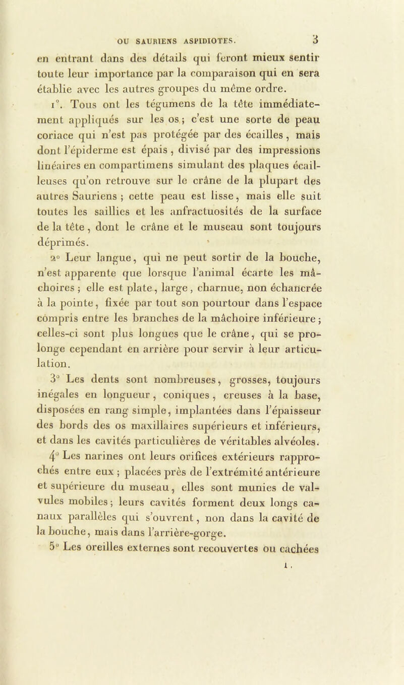 en entrant dans des détails qui feront mieux sentir toute leur importance par la comparaison qui en sera établie avec les autres groupes du même ordre. 1°. Tous ont les tégumens de la tête immédiate- ment appliqués sur les os ; c’est une sorte de peau coriace qui n’est pas protégée par des écailles, mais dont l’épiderme est épais , divisé par des impressions linéaires en compartimens simulant des plaques écail- leuses qu’on retrouve sur le crâne de la plupart des autres Sauriens ; cette peau est lisse, mais elle suit toutes les saillies et les anfractuosités de la surface de la tête, dont le crâne et le museau sont toujours déprimés. * 2® Leur langue, qui ne peut sortir de la bouche, n’est apparente que lorsque l’animal écarte les mâ- choires ; elle est plate, large, charnue, non échancrée à la pointe, fixée par tout son pourtour dans l’espace compris entre les branches de la mâchoire inférieure ; celles-ci sont plus longues que le crâne, qui se pro- longe cependant en arrière pour servir à leur articu- lation. 3' Les dents sont nombreuses, grosses, toujours inégales en longueur, coniques, creuses à la base, disposées en rang simple, implantées dans l’épaisseur des bords des os maxillaires supérieurs et inférieurs, et dans les cavités particulières de véritables alvéoles. 4“ Les narines ont leurs orifices extérieurs rappro- chés entre eux ; placées près de l’extrémité antérieure et supérieure du museau, elles sont munies de val- vules mobiles ; leurs cavités forment deux longs ca- naux parallèles qui s’ouvrent, non dans la cavité de la bouche, mais dans l’arrière-gorge. 5“ Les oreilles externes sont recouvertes ou cachées 1.