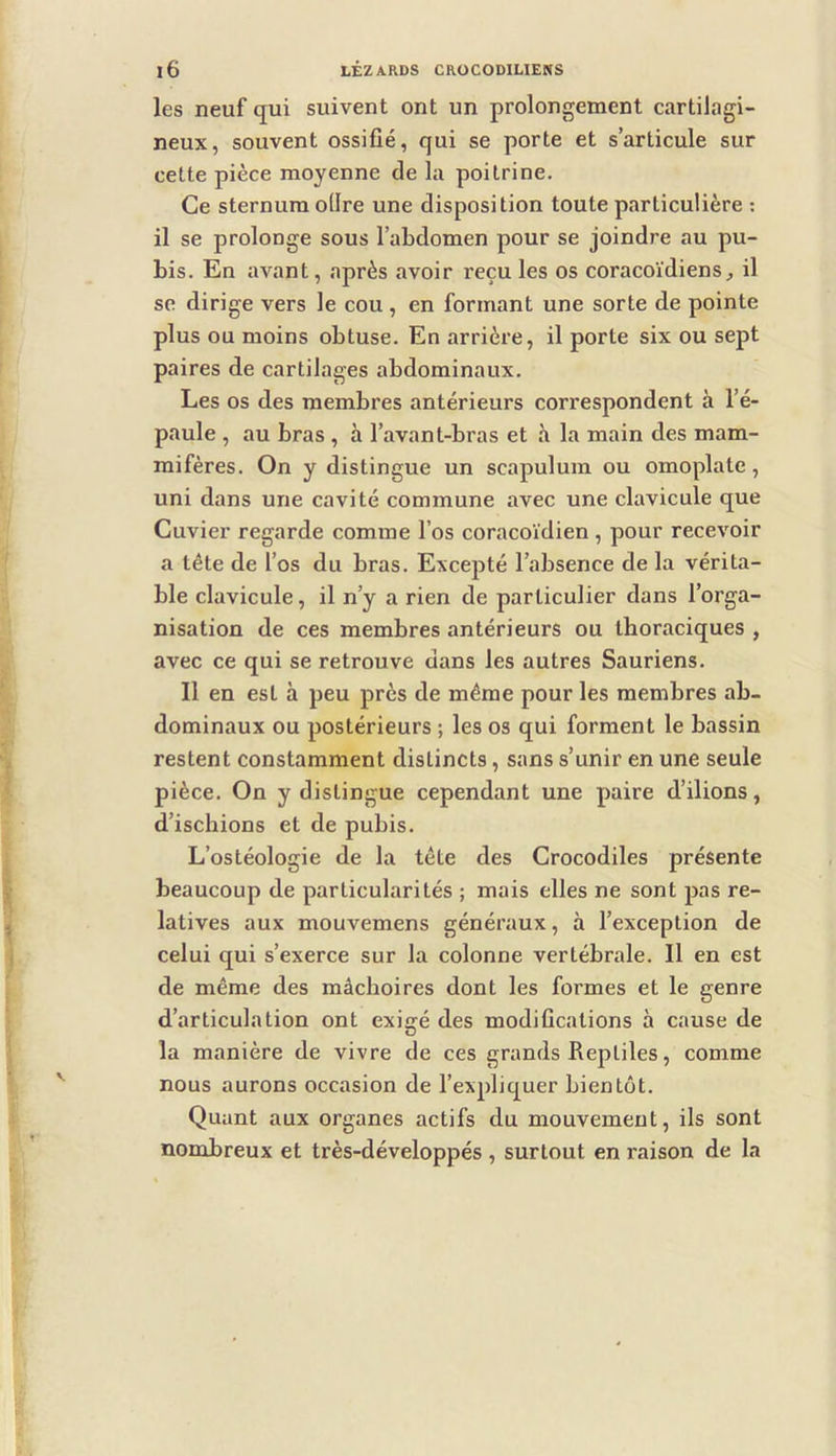 les neuf qui suivent ont un prolongement cartilagi- neux, souvent ossifié, qui se porte et s’articule sur cette pièce moyenne de la poitrine. Ce sternum odre une disposition toute particulière : il se prolonge sous l’abdomen pour se joindre au pu- bis. En avant, après avoir reçu les os coracoïdiens^ il se dirige vers le cou, en formant une sorte de pointe plus ou moins obtuse. En arrière, il porte six ou sept paires de cartilages abdominaux. Les os des membres antérieurs correspondent à l’é- paule , au bras , à l’avant-bras et h la main des mam- mifères. On y distingue un scapulum ou omoplate, uni dans une cavité commune avec une clavicule que Cuvier regarde comme l’os coracoïdien , pour recevoir a tête de l’os du bras. Excepté l’absence de la vérita- ble clavicule, il n’y a rien de particulier dans l’orga- nisation de ces membres antérieurs ou thoraciques , avec ce qui se retrouve dans les autres Sauriens. Il en est à peu près de même pour les membres ab- dominaux ou postérieurs ; les os qui forment le bassin restent constamment distincts, sans s’unir en une seule pièce. On y distingue cependant une paire d’ilions, d’ischions et de pubis. L’ostéologie de la tête des Crocodiles présente beaucoup de particularités ; mais elles ne sont pas re- latives aux mouvemens généraux, à l’exception de celui qui s’exerce sur la colonne vertébrale. Il en est de même des mâchoires dont les formes et le genre d’articulation ont exie^é des modifications à cause de la manière de vivre de ces grands Reptiles, comme nous aurons occasion de l’expliquer bientôt. Quant aux organes actifs du mouvement, ils sont nombreux et très-développés , surtout en raison de la