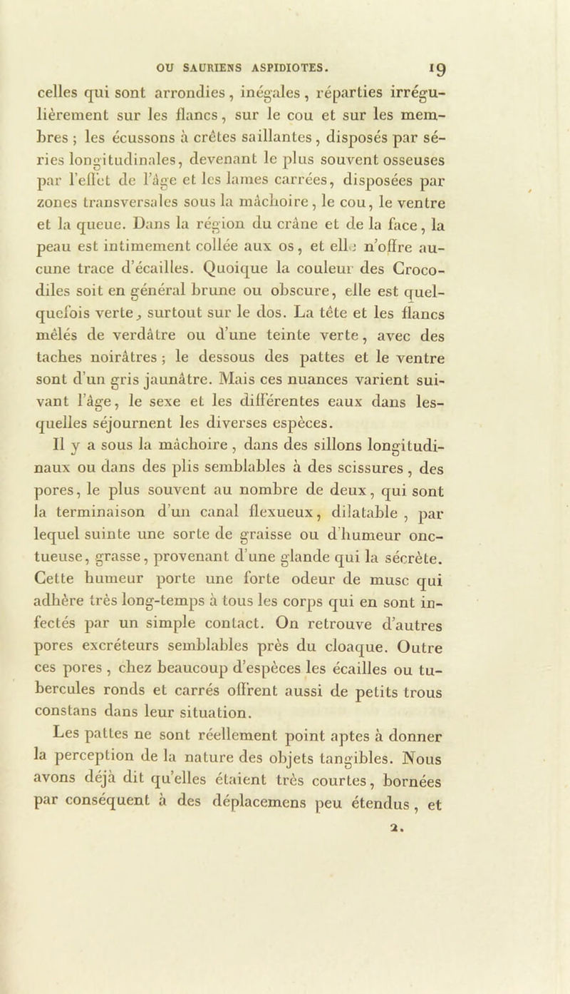 celles qui sont arrondies, inégales, réparties irrégu- lièrement sur les flancs, sur le cou et sur les mem- bres ; les écussons à crêtes saillantes , disposés par sé- ries longitudinales, devenant le plus souvent osseuses par l’eflct de l’àge et les lames carrées, disposées par zones transversales sous la mâchoire , le cou, le ventre et la queue. Dans la région du crâne et de la face, la peau est intimement collée aux os, et elle n’oflre au- cune trace d’écailles. Quoique la couleur des Croco- diles soit en général brune ou obscure, elle est quel- quefois verte J surtout sur le dos. La tête et les flancs mêlés de verdâtre ou d’une teinte verte, avec des taches noirâtres ; le dessous des pattes et le ventre sont d’un gris jaunâtre. Mais ces nuances varient sui- vant l’âge, le sexe et les dilFérentes eaux dans les- quelles séjournent les divei’ses espèces. Il y a sous la mâchoire, dans des sillons longitudi- naux ou dans des plis semblables à des scissures , des pores, le plus souvent au nombre de deux, qui sont la terminaison d’un canal flexueux, dilatable , par lequel suinte une sorte de graisse ou d’humeur onc- tueuse, grasse, provenant d’une glande qui la sécrète. Cette humeur porte une forte odeur de musc qui adhère très long-temps à tous les corps qui en sont in- fectés par un simple contact. On retrouve d’autres pores excréteurs semblables près du cloaque. Outre ces pores , chez beaucoup d’espèces les écailles ou tu- bercules ronds et carrés offrent aussi de petits trous constans dans leur situation. Les pattes ne sont réellement point aptes à donner la perception de la nature des objets tangibles. Nous avons déjà dit qu’elles étaient très courtes, bornées par conséquent à des déplacemens peu étendus, et a.