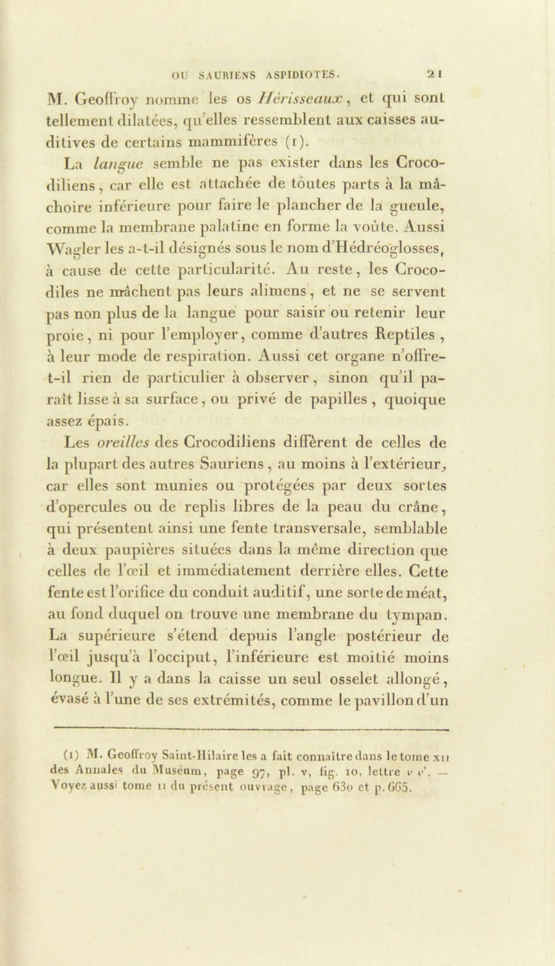 M. Geollroy nomme les os IJérisseaux ^ et qui sont tellement dilatées, qu’elles ressemblent aux caisses au- ditives de certains mammifères (i). La langue semble ne pas exister dans les Croco- diliens, car elle est attachée de toutes parts à la mâ- choire inférieure pour faire le plancher de la gueule, comme la membrane palatine en forme la voûte. Aussi Wagler les a-t-il désignés sous le nom d’Hédréo'glosses, à cause de cette particularité. Au reste, les Croco- diles ne mâchent pas leurs alimens, et ne se servent pas non plus de la langue pour saisir ou retenir leur proie, ni pour l’employer, comme d’autres Reptiles , à leur mode de respiration. Aussi cet organe n’olFre- t-il rien de particulier à observer, sinon qu’il pa- raît lisse à sa surface , ou privé de papilles , quoique assez épais. Les oreilles des Grocodiliens diffèrent de celles de la plupart des autres Sauriens , au moins à l’extérieur^ car elles sont munies ou protégées par deux sortes d’opercules ou de replis libres de la peau du crâne, qui présentent ainsi une fente transversale, semblable à deux paupières situées dans la même direction c[ue celles de fœil et immédiatement derrière elles. Cette fente est l’orifice du conduit auditif, une sorte de méat, au fond duquel on trouve une membrane du tympan. La supérieure s’étend depuis l’angle postérieur de l’œil jusqu’à l’occiput, l’inférieure est moitié moins longue. 11 y a dans la caisse un seul osselet allongé, évasé à l’une de ses extrémités, comme le paAÛllond’un (i) M. Geoffroy Saint-Hilaire les a fait connaître dans le tome xii des Annales du Muséum, page 97, pl. v, lig. lo, lettre i> c’. — Voyez,aussi tome u du présent ouvrage, page 63o et p.665.