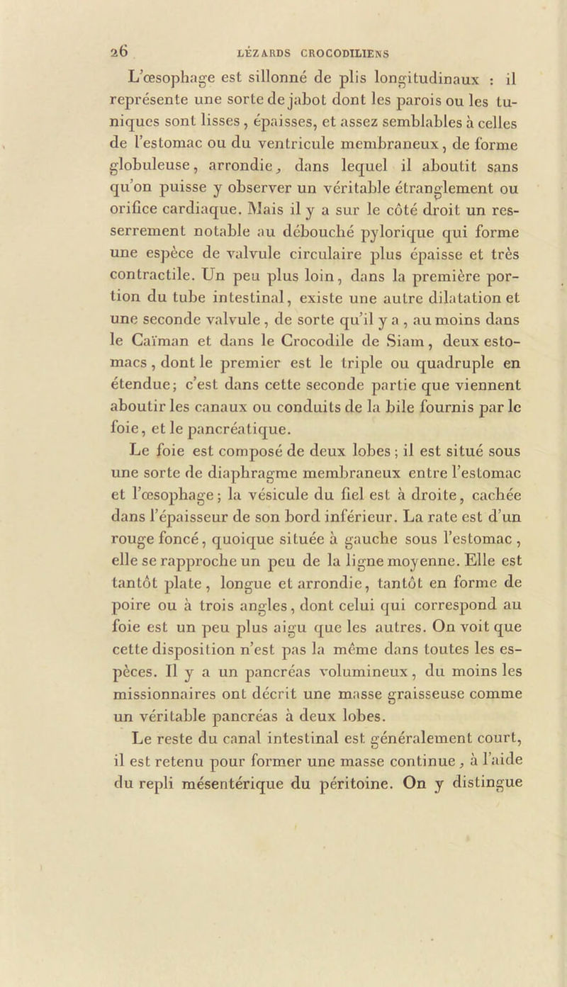L’œsophage est sillonné de plis longitudinaux : il repi’ésente une sorte de jabot dont les parois ou les tu- niques sont lisses , épaisses, et assez semblables à celles de l’estomac ou du ventricule membraneux, de forme globuleuse, arrondie ^ dans lequel il aboutit sans qu’on puisse y observer un véritable étranglement ou orifice cardiaque. Mais il y a sur le côté droit un res- serrement notable au débouché pylorique qui forme une espèce de valvule circulaire plus épaisse et très contractile. Un peu plus loin, dans la première por- tion du tube intestinal, existe une autre dilatation et une seconde valvule , de sorte qu’il y a , au moins dans le Caïman et dans le Crocodile de Siam, deux esto- macs , dont le premier est le triple ou quadruple en étendue; c’est dans cette seconde partie que viennent aboutir les canaux ou conduits de la bile fournis par le foie, et le pancréatique. Le foie est composé de deux lobes ; il est situé sous une sorte de diaphragme membraneux entre l’estomac et l’œsophage; la vésicule du fiel est à droite, cachée dans l’épaisseur de son bord inférieur. La rate est d’un rouge foncé, quoicj[ue située à gauche sous l’estomac , elle se rapproche un peu de la ligne moyenne. Elle est tantôt plate , longue et arrondie, tantôt en forme de poire ou à trois angles, dont celui qui correspond au foie est un peu plus aigu que les autres. On voit que cette disposition n’est pas la même dans toutes les es- pèces. Il y a un pancréas volumineux, du moins les missionnaires ont décrit une masse graisseuse comme un véritable pancréas à deux lobes. Le reste du canal intestinal est généralement court, il est retenu pour former une masse continue, à l’aide du repli mésentérique du péritoine. On y distingue