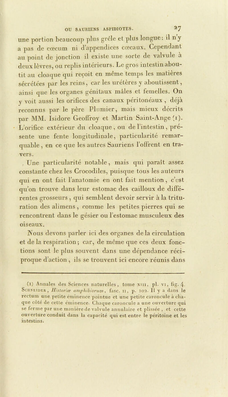 une portion beaucoup plus grêle et plus longue: il ny a pas de cæcum ni d’appendices cœcaux. Cependant au point de jonction il existe une sorte de valvule à deux lèvres, ou replis intérieurs. Le gros intestin abou- tit au cloacj[ue qui reçoit en même temps les matières sécrétées par les reins, car les urétères y aboutissent, ainsi que les organes génitaux mâles et femelles. On y voit aussi les orifices des canaux péritonéaux , déjà reconnus par le père Plumier, mais mieux décrits par MM. Isidore Geoffroy et Martin Saint-Ange (i ). ' L’orifice extérieur du cloaque , ou de l’intestin, pré- sente une fente longitudinale, particularité remar- quable , en ce c[ue les autres Sauriens l’ofi’rent en tra- vers. , Line particularité notable, mais qui paraît assez constante chez les Crocodiles, puisque tous les auteurs qui en ont fait l’anatomie en ont fait mention, c’est qu’on trouve dans leur estomac des cailloux de diffé- rentes grosseurs , qui semblent devoir servir à la tritu- ration des alimens , comme les petites pierres qui se rencontrent dans le gésier ou l’estomac musculeux des oiseaux. Nous devons parler ici des organes delà circulation et de la respiration; car, de même que ces deux fonc- tions sont le plus souvent dans une dépendance réci- proque d’action , ils se trouvent ici encore réunis dans (i) Annales des Sciences natm-elles, tome xiii, pl. vi, fig. 4- Schneider, llistoriœ ampliibiorum, fasc. il, p. 102. H y a dans le rectum une petite éminence pointue et une petite caroncule à cha- que côté de cetle éminence. Chaque caroncule a une ouverture qui se ferme par une manière de valvule annulaire et plissée , et cette ouverture conduit dans la capacité qui est entre le péritoine et les intestins.