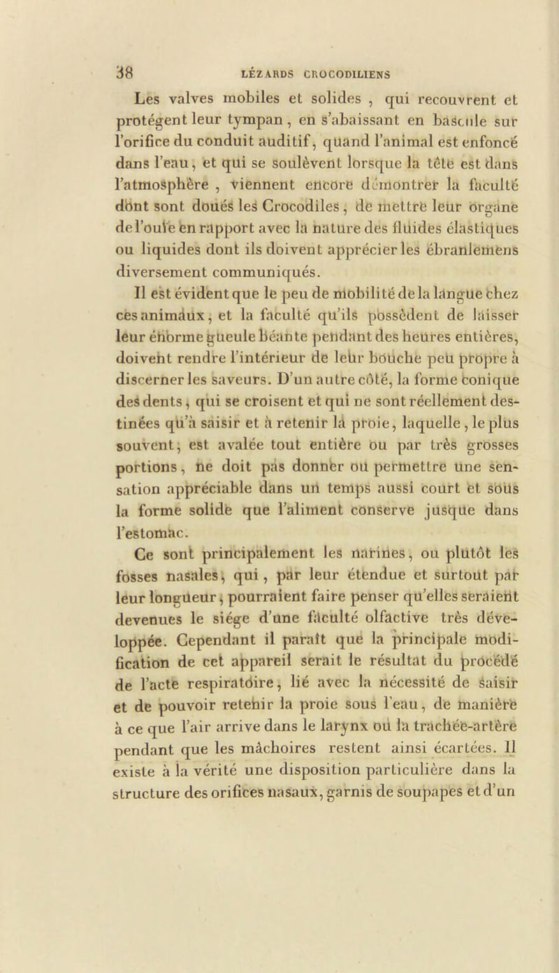 Les valves mobiles et solides , qui recouvrent et protègent leur tympan , en s’abaissant en bascule sur l’orifice du conduit auditif, quand l’animal est enfoncé dans l’eau, et qui se soulèvent lorsque la tète est dans l’atmospliêre , viennent etlcoi’e démontrer la faculté dbnt sont doués leS Crocodiles, de mettre leur organe del’ouie en rapport avec la nature des flüides élastic[ues ou liquides dont ils doivent apprécier les ébranlemens diversement communiqués. Il est évident que le peu de mobilité de la langue bhez cèsanimdux, et la faculté qu’ils pbssèdent de laisser leur éhbrme gueule béan te pendant des heures entières, doivent rendre l’intérieur de lebr bOiiche peü propre à discerner les saveurs. D’un autre côté, la forme eonique des dents ^ qui se croisent et qui ne sont réellement des- tinées qii’à saisir et <à retenir là proie, laquelle , le plus souvent, est avalée tout entière ou par très grosses portions, ne doit pas donnér ou permettre une sen- sation appréciable dans un temps aussi court et sbus la forme solide que l’aliment conserve jusque dans l’estomac. Ce sont principalement les narines, ou plutôt les fosses nasales'^ qui, par leur étendue et surtout pat leur longueur i pourraient faire penser qu’elles seraierit devenues le siège d’une faculté olfactive très déve- loppée. Cependant il parait que la principale modi- fication de cet appareil serait le résultat du précédé de l’acte respiratbire, lié avec la nécessité de Saisir et de pouvoir retehir la proie sous l’eau, de manière à ce que l’air arrive dans le larynx oü la trachée-artère pendant que les mâchoires restent ainsi écartées. Il existe à la vérité une disposition particulière dans la structure des orifices nasaux, garnis de soupapes et d’un