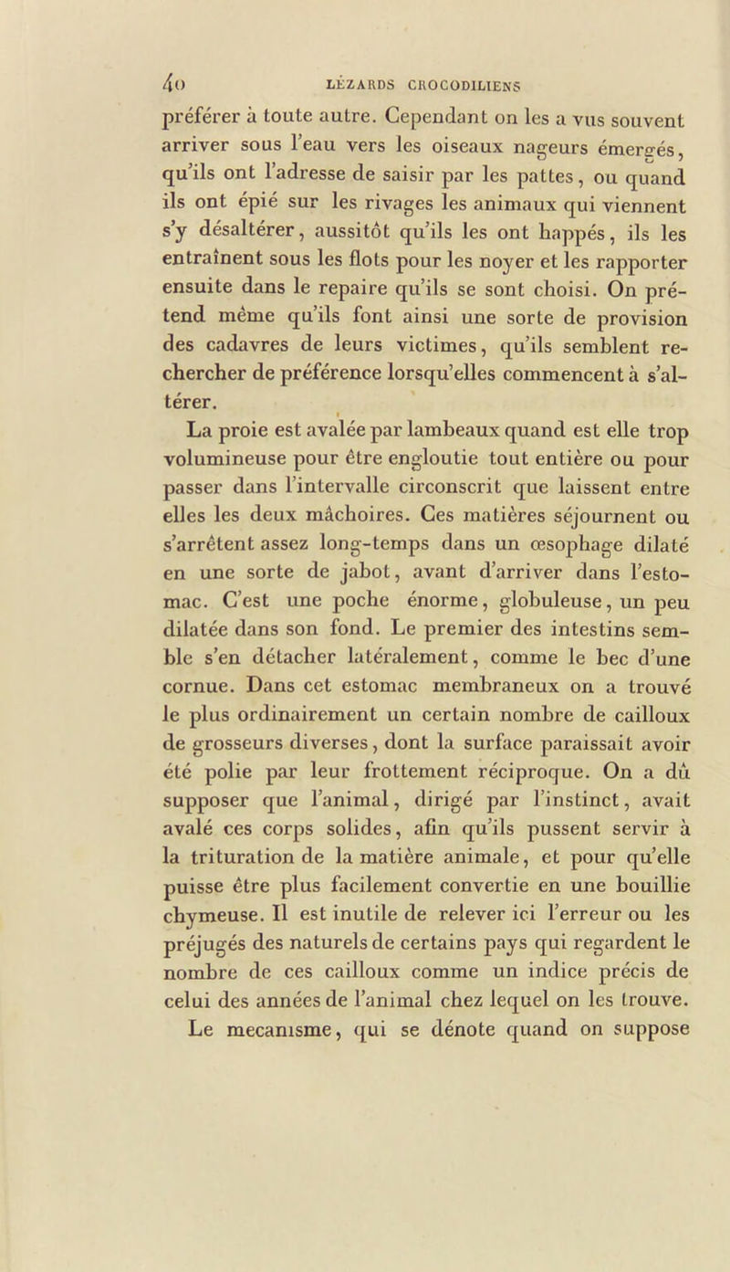 préférer à toute autre. Cependant on les a vus souvent arriver sous l’eau vers les oiseaux nageurs émergés, qu’ils ont l’adresse de saisir par les pattes, ou quand ils ont épié sur les rivages les animaux qui viennent s’y désaltérer, aussitôt qu’ils les ont happés, ils les entraînent sous les flots pour les noyer et les rapporter ensuite dans le repaire qu’ils se sont choisi. On pré- tend même qu’ils font ainsi une sorte de provision des cadavres de leurs victimes, qu’ils semblent re- chercher de préférence lorsqu’elles commencent à s’al- térer. La proie est avalée par lambeaux quand est elle trop volumineuse pour être engloutie tout entière ou pour passer dans l’intervalle circonscrit que laissent entre elles les deux mâchoires. Ces matières séjournent ou s’arrêtent assez long-temps dans un œsophage dilaté en une sorte de jabot, avant d’arriver dans l’esto- mac. C’est une poche énorme, globuleuse, un peu dilatée dans son fond. Le premier des intestins sem- ble s’en détacher latéralement, comme le bec d’une cornue. Dans cet estomac membraneux on a trouvé le plus ordinairement un certain nombre de cailloux de grosseurs diverses, dont la surface paraissait avoir été polie par leur frottement réciproque. On a dû supposer que l’animal, dirigé par l’instinct, avait avalé ces corps solides, afin qu’ils pussent servir à la trituration de la matière animale, et pour quelle puisse être plus facilement convertie en une bouillie chymeuse. Il est inutile de relever ici l’erreur ou les préjugés des naturels de certains pays qui regardent le nombre de ces cailloux comme un indice précis de celui des années de l’animal chez lequel on les trouve. Le mécanisme, qui se dénote quand on suppose