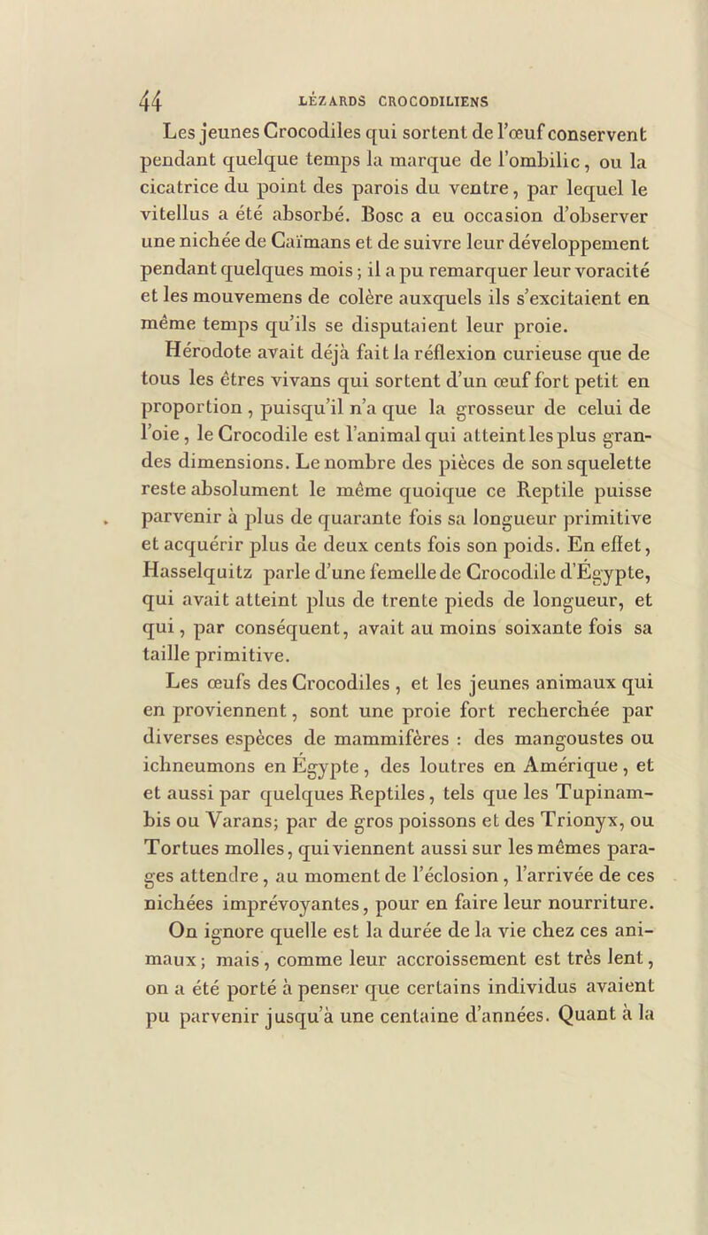 Les jeunes Crocodiles qui sortent de l’œuf conservent pendant quelque temps la marque de l’ombilic , ou la cicatrice du point des parois du ventre, par lequel le vitellus a été absorbé, Bosc a eu occasion d’observer une nichée de Caïmans et de suivre leur développement pendant quelques mois ; il a pu remarquer leur voracité et les mouvemens de colère auxquels ils s’excitaient en même temps qu’ils se disputaient leur proie. Hérodote avait déjà fait la réflexion curieuse que de tous les êtres vivans qui sortent d’un œuf fort petit en proportion , puisqu’il n’a que la grosseur de celui de l’oie , le Crocodile est l’animal qui atteint les plus gran- des dimensions. Le nombre des pièces de son squelette reste absolument le même quoique ce Reptile puisse parvenir à plus de quarante fois sa longueur primitive et acquérir plus de deux cents fois son poids. En eflet, Hasselquitz parle d’une femelle de Crocodile d’Egypte, qui avait atteint plus de trente pieds de longueur, et qui, par conséquent, avait au moins soixante fois sa taille primitive. Les œufs des Crocodiles , et les jeunes animaux qui en proviennent, sont une proie fort recherchée par diverses espèces de mammifères : des mangoustes ou ichneumons en Egypte , des loutres en Amérique , et et aussi par quelques Reptiles, tels que les Tupinam- bis ou Varans; par de gros poissons et des Trionyx, ou Tortues molles, qui viennent aussi sur les mêmes para- ges attendre, au moment de l’éclosion , l’arrivée de ces nichées imprévoyantes, pour en faire leur nourriture. On ignore quelle est la durée de la vie chez ces ani- maux; mais, comme leur accroissement est très lent, on a été porté à penser que certains individus avaient pu parvenir jusqu’à une centaine d’années. Quant à la
