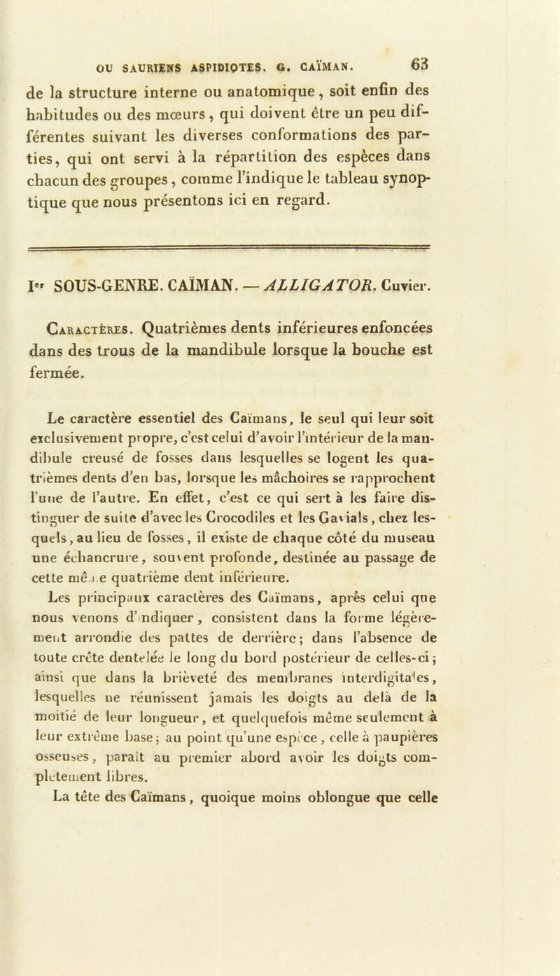 de la structure interne ou anatomique, soit enfin des habitudes ou des mœurs , qui doivent être un peu dif- férentes suivant les diverses conformations des par- ties, qui ont servi à la répartition des espèces dans chacun des groupes, comme l’indique le tableau synop- tique que nous présentons ici en regard. SOUS-GENRE. CAÏMAN. — ALLIGATOR. Cuvier. Caractères. Quatrièmes dents inférieures enfoncées dans des trous de la mandibule lorsque la bouche est fermée. Le caractère essentiel des Caïmans, le seul qui leur soit exclusivement propre, c’est celui d’avoir l’intérieur de la mau- dibule creusé de fosses dans lesquelles se logent les qua- trièmes dents d’en bas, lorsque les mâchoires se rapprochent l’une de l’autre. En effet, c’est ce qui sert à les faire dis- tinguer de suite d’avec les Crocodiles et les Cariais, chez les- quels, au lieu de fosses, il existe de chaque côté du museau une échancrure, souvent profonde, destinée au passage de cette mê 1 e quatrième dent inférieure. Les principaux caractères des Caïmans, après celui que nous venons d’.ndiquer, consistent dans la forme légère- ment arrondie des pattes de derrière ; dans l’absence de toute crête dentelée le long du bord postérieur de celles-ci; ainsi que dans la brièveté des membranes interdigita'es, lesquelles ne réunissent jamais les doigts au delà de la moitié de leur longueur, et queltpiefois même seulement à leur extrême base; au point qu’une espèce, celle à paupières Osscuses, parait au pi emier abord a\ oir les doigts com- plètement libres. La tête des Caïmans, quoique moins oblongue que celle
