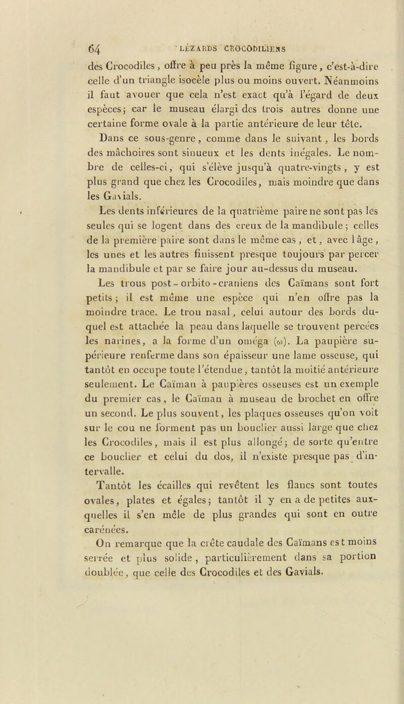 des Crocodiles , offre à peu près la même figure, c’est-à-dire celle d’un triangle isocèle plus ou moins ouvert. Néanmoins il faut avouer que cela n’est exact qu’à l’égard de deux espèces; car le museau élargi des trois autres donne une certaine forme ovale à la partie antérieure de leur tête. Dans ce sous-genre, comme dans le suivant, les bords des mâchoires sont sinueux et les dents inégales. Le nom- bre de celles-ci, qui s’élève jusqu’à quatre-vingts, y est plus grand que chez les Crocodiles, mais moindre que dans les Gd\ials. Les dents inférieures de la quatrième paire ne sont pas les seules qui se logent dans des creux de la mandibule ; celles de la première paire sont dans le meme cas , et, avec 1 âge , les unes et les autres finissent presque toujours par percer la mandibule et par se faire jour au-dessus du museau. Les trous post-orbito-crâniens des Caïmans sont fort petits; il est même une espèce qui n’en offre pas la moindre trace. Le trou nasal, celui autour des bords du- quel est attachée la peau dans laquelle se trouvent percées les narines, a la forme d’un oméga (w). La paupière su- périeure renferme dans son épaisseur une lame osseuse, qui tantôt en occupe toute l’étendue, tantôt la moitié antérieure seulement. Le Caïman à paupières osseuses est un exemple du premier cas, le Caïman à museau de brochet en offre un second. Le plus souvent, les plaques osseuses qu’on voit sur le cou ne forment pas un bouclier aussi lai’ge que chez les Crocodiles, mais il est plus allongé; de sorte qu’entre ce bouclier et celui du dos, il n’existe presque pas d’in- tervalle. Tantôt les écailles qui revêtent les flancs sont toutes ovales, plates et égales; tantôt il y en a de petites aux- quelles il s’en mêle de plus grandes qui sont en outre carénées. On remarque que la crête caudale des Caïmans est moins serrée et plus solide , particulièrement dans sa portion doublée, que celle des Crocodiles et des Gavials.