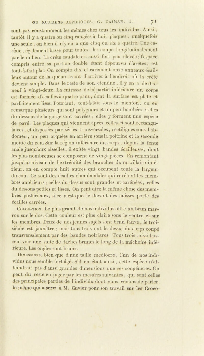 sont pas constamment les memes chez tous les individus. Ainsi, tantôt il y a quatre ou cinq rangées à huit plaques , quelquefois une seule ; ou bien il n'y eu a ijue cinq ou six a quatre. Une ca- rène, également basse pour toutes, les coupe longitudinalement par le milieu. La crête caudale est aussi fort peu élevée ; l’espace compris entre sa portion double étant dépourvu d’arêtes, est tout-à-fait plat. On compte dix et i-ai-emcnt onze anneaux écail- leux autour de la queue avant d’arriver à l’endroit où la crête devient simple. Dans le reste de son étendue , il y en a de dix- neuf à vingt-deux. La cuirasse de la partie inférieure du corps est formée d’ecailles à quatre pans, dont la sui’face est plate et parfaitement lisse. Pourtant, tout-à-fait sous le menton, on en remarque plusieurs qui sont polygones et un peu bombées. Celles du dessous de la gorge sont carrées ; elles y forment une espèce de pavé. Les plaques qui viennent après celles-ci sont rectangu- laires , et disposées par séries transveisales, rectilignes sous l’ab- domen , im peu arquées en arrière sous la poitrine et la seconde moitié du cou. Sur la région inférieure du corps, depuis la fente anale jusqu’aux aisselles, il existe vingt bandes écailleuses, dont les plus nombreuses se composent de vingt pièces. En remontant jusqu’au niveau de l’extrémité des branches du maxillaire infé- riem-, on en compte huit autres qui occupent toute la largeur du cou. Ce sont des écailles rhomboïdales qui revêtent les mem- bres antérieurs ; celles du dessus sont grandes et carénées, celles du dessous petites et lisses. On peut dire la même chose des mem- bres postérieurs, si ce n’est que le devant des cuisses porte des écailles carrées. Coloration. Le plus gi’and de nos individus offre un brun mar- ron sur le dos. Cette couleur est plus claire sous le ventre et sur les membres. Deux de nos jeunes sujets sont brun fauve , le troi- sième est jaunâtre ; mais tous trois ont le dessus du corps coupé transversalement par des bandes noirâtres. Tous trois aussi lais- sent voir une suite de taches brunes le long de la mâchoire infé- rieure. Les ongles sont bruns. Dimensions. Bien que d’une taille médiocre, l’un de nos indi- vidus nous semble fort âgé. S’il en était ainsi, cette espèce n’at- teindrait pas d’aussi grandes dimensions que ses congénères. On peut du reste en juger par les mesures suivantes , qui sont celles des principales parties de l’individu dont nous venons de parler,