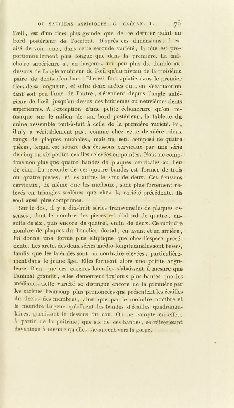l’œil, est d’un tiers plus grande que de ce dernier point au bord postérieur de l’occiput. D’après ces dimensions. il est aisé de voir que, dans celte seconde variété, la tète est pro- portionnellement plus longue que dans la première. La mâ- choire supérieure a, en largeur, un peu plus du double au- dessous de l’angle antérieur de l’œil qu’au niveau de la troisième paire de dents d’en haut. Elle est fort aplatie dans le premier tiers de sa longueur , et offre deux arêtes qui, en s’écartant un tant soit peu l’une de l’autre, s’étendent depuis l’angle anté- rieur de l’œil jusqu’au-dessus des huitièmes ou neuvièmes dents supérieures. A l’exception d’une petite échancrure qu’on re- marque sur le milieu de son bord postérieur, la tablette du crâne ressemble tout-à-fait à celle de la première variété. Ici, il n’y a véritablement pas, comme chez cette dernière, deux rangs de plaques nuchales, mais un seul composé de quatre pièces, lequel est séparé des écussons cervicaux par mie série de cinq ou six petites écailles relevées en pointes. Nous ne comp- tons non plus que quatre bandes de plaques cervicales au lieu de cinq. La seconde de ces quatre bandes est formée de trois ou quatre pièces, et les autres le sont de deux. Ces écussons cervicaux , de même que les nuchaux , sont plus fortement re- levés en triangles scalènes que chez la variété précédente. Ils sont aussi plus comprimés. Sur le dos, il y a dix-huit séries transversales de plaques os- seuses , dont le nombre des pièces est d’abord de quatre, en- suite de six, puis encore de quatre, enfin de deux. Ce moindre nombre de plaques du bouclier dorsal, en avant et en arrière, lui donne une forme plus elliptique que chez l’espèce précé- dente. Les arêtes des deux séries médio-longitudinales sont basses, tandis que les latérales sont au contraire élevées , particulière- ment dans le jeime âge. Elles forment alors une pointe angu- leuse. Bien que ces carènes latérales s’abaissent à mesure que l’animal grandit, elles demeui’ent toujours plus hautes que les médianes. Cette variété se distingue encore de la première par les carènes beaucoup plus prononcées que présentent les écailles du dessus des membres, ainsi que par le moindre nombre et la moindre largeur qu’offi’ent les bandes d’écailles quadrangu- laires, garnissant le dessous du cou. On ne compte en effet, à partir de la poitrine, que six de ces bandes, se rétrécissant davantage à mesure qu’elles s’avancent vers la gorge.