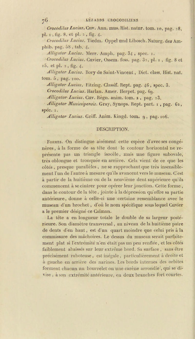 Crocodilas Lucius. Cuv. Ann. mus. Hist. natur. tom. 10, pag. 28, pl. I , fig. 8, et pl. 2, fig. 4. Crocodilus Lucius. Tiedm. Oppel und Libosch.Naturg. der Am- phib. pag. 58 , tab. 4. Alligator Lucius. Merr. Ainph. pag. 84 , spec. i. Crocodilus Lucius. Cuvier, Ossem. foss. pag. 82, pl. i , fig. 8 et i5, et pl. 2 , fig. 4. Alligator Lucius. Bory de Saint-Vincent, Dict. class. Hist. nat. tom. 5, pag. 100. Alligator Lucius, Fitzing. Classif. Rept. pag. 46, spec. 3. Crocodilus Lucius. Hai'lan. Amer. Herpet. pag. 69. Alligator Lucius. Cuv. Règn. anim. tom. a , pag. 28. Alligator Mississipensis. Gray, Synops. Rept. part, i , pag. 6a, spéc. I. Alligator Lucius. GrifT. Anim. Kingd. tom. 9 , pag. 106. DESCRIPTION. Formes. On distingue aisément cette espèce d’avec ses congé- nères , à la forme de sa tête dont le contour horizontal ne re- présente pas im triangle isocèle, mais mie figure subovale, très oblongue et tronquée en arrière. Cela vient de ce que les côtés , presque parallèles , ne se rapprochant que très insensible- ment l’im de l’autre à mesure qu’ils avancent vers le museau. C’est à partir de la huitième ou de la neuvième dent supérieure qu’ils commencent à se cintrer pour opérer leur jonction. Cette forme , dans le contour de la tête, jointe à la dépression qu’olfre sa partie antérieure, donne à celle-ci mie certaine ressemblance avec le museau d’un brochet, d’où le nom spécifique sous lequel Cuvier a le premier désigné ce Caïman. La tête a en longueur totale le double de sa largeur posté- rieure. Son diamètre transversal, au niveau de la huitième paire de dents d’en haut, est d’im quart moindre que celui pris à la commissure des mâchoires. Le dessus du museau serait parfaite- ment plat si l’extrémité n’en était pas un peu renflée, et les côtés faiblement abaissés sur leur extrême bord. Sa surface , sans être précisément raboteuse, est inégale, particulièrement à droite et à gauche en arrière des narines. Les bords internes des orbites forment chacun un bourrelet ou une carène arrondie , qui se di- vise , à son extrémité antérieure, eu deux branches fort courtes.