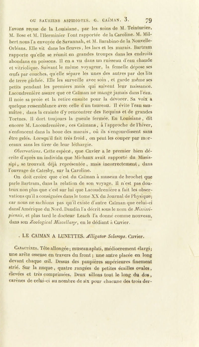 l’avons reçue de la Louisiane, par les soins de M. Teinturier. M. Bosc et M. l’Herminier l’ont rapportée de la Caroline. M. Mil- bert nous l’a envoyée de Savannah, et M. Harabino de la Nouvelle- Orléans, Elle vit dans les fleuves, les lacs et les marais. Bartram rapporte qu’elle se réunit en grandes troupes dans les endroits abondans en poissons. Il en a vu dans un ruisseau d’eau chaude et vitriolique. Suivant le même voyageur, la femelle dépose ses œufs par couches, qu elle sépare les unes des autres par des lits de terre gâchée. Elle les surveille avec soin , et garde même ses petits pendant les premiers mois qui suivent leur naissance. Lacoudrenière assure que ce Ca'iman ne mange jamais dans l’eau. Il noie sa proie et la retire ensuite pour la dévorer. Sa voix a quelque ressemblance avec celle d’un taureau. 11 évite l’eau sau- mâtre , dans la crainte d’y rencontrer des Requins et de grandes Tortues. 11 dort toujours la gueule fermée. En Louisiane, dit encore M. Lacoudrenière, ces Caïmans, à l’approche de l’hiver, s’enfoncent dans la boue des marais, où ils s’engourdissent sans être gelés. Lorsqu’il fait très froid , on peut les couper par mor- ceaux sans les tirer de leur léthargie. Observations. Cette espèce, que Cuvier a le premier bien dé- crite d’après un individu que Michaux avait rapporté du Missis- sipi, se trouvait déjà représentée , mais incorrectement, dans l’ouvrage de Catesby, sur la Caroline. On doit croire que c’est du Ca'iman à museau de brochet que parle Bartram, dans la relation de son voyage. 11 n’est pas dou- teux non plus que c’est sur lui que Lacoudrenière a fait les obser- vations qu’il a consignées dans le tome XX du Journal de Physique; car nous ne sachions pas qu’il existe d’autre Ca'iman que celui-ci dansl’Amérique du Nord. Daudin l’a décrit sous le nom de Mississi- piensis, et plus tard le docteur Leach l’a donné comme nouveau, dans son Zoological Miscellany, en le dédiant à Cuvier. . LE CAÏMAN A LUNETTES. Alligator Sclerops. Cuvier. Cxbxctères. Tête allongée; museauaplati, médiocrement élargi; ime arête osseuse en travers du front ; une autre placée en long devant chaque œil. Dessus des paupières supérieures finement strie. Sur la nuque, quatre rangées de petites écailles ovales, élevées et très comprimées. Deux sillons tout le long du dos, carènes de celui-ci au nomln-e de six pour chacune des trois der-