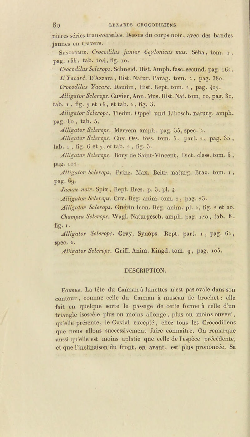 ilières séries transversales. Dessus du corps noir, avec des bandes jaunes en travers. SvKONVMiE. Crocodiliis Junior Ceflonicus mas. Séba, toin. i, pag. i66, tab. 104, fig. 10. CrocodilusSclerops. Schneid. Hist. Amph. fasc. secund. pag. 1G2. L'Yacaré. D’Azzara , Hist. Natur. Parag. tom. 2 , pag. 38o. Crocodilus Yacare. Daudin, Hist. Rept. tom. 2 , pag. 407. Alligator Sclerops. Cuvier, Ann. Mus. Hist. Nat. tom. 10, pag. 3i, tab. I , fig. 7 et 16, et tab. 2, fig. 3. Alligator Sclerops. Tiedm. Oppel imd Libosch. nalixrg. amph. pag. 60 , tab. 5. Alligator Sclerops. Mei'rem amph. pag. 35, spec. 2. Alligator Sclerops. Cuv. Oss. foss. tom. 5 , part. 2 , pag. 35 , tab. I , fig. G et 7, et tab. 2 , fig. 3. Alligator Sclerops. Bory de Saint-Vincent, Dict. class. tom. 5 , pag. 102. Alligator Sclerops. Prinz. Max. Beitr. naturg. Braz. tom. i , pag. Gg. Jacare noir. Spix, Rept. Bres. p. 3, pl. 4. Alligator Sclerops. Cuv. Règ. anim. tom. 2, pag. 23. Alligator Sclerops. Guérin Icon. Règ. anim. pl. 2, fig. 2 et 20. Champsa Sclerops. Wagl. Naturgesch. amph. pag. 140, tab. 8, fig. I. Alligator Sclerops. Gray, Synops. Rept. part, i , pag. 62, spec. 2. Alligator Sclerops. GrifT, Anim. Kingd. tom. 9, pag. io5. DESCRIPTION. Formes. La tête du Caïman à lunettes n’est pas ovale dans son contour, comme celle du Caïman à museau de brochet ; elle fait en quelque sorte le passage de cette forme à celle d’im triangle isoscèle plus ou moins allongé , plus ou moins ouvert, quelle présente, le Gavial excepté, chez tous les Crocodiliens que nous allons successivement faire connaître. On remarque aussi quelle est moins aplatie que celle de l’espèce précédente, et que l’inclinaison du front, en avant, est plus prononcée. Sa