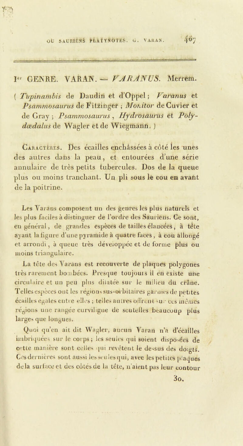 407 I GENRE. VARAN. — FAR AN U S. Merrem. ( Tupinambis de Daudin et d’Oppel ; Faranus et Psammosaurus de Fitzinger ; Mofàtov de Cuvier et de Gray ; Psammosaurus , Hydrosaurus et Poly- dœdahis de Wagler et de Wiegmann. ) Caractères. Des écailles enchâssées à côté les unes des autres dans la peau, et entourées d’une série annulaire de très petits tubercules. Dos de la queue plus ou moins tranchant. Un pli sous le eou en avant de la poitrine. Les Vai ans composent un des genres les plus naturels et les plus faciles à distinguer de l’ordre des Saui iens. Ce sont, en général, de grandes espèces de tailles élancées, à tête ayant la figure d’une pyramide à quatre faces , à cou allongé et arrondi, à queue très développée et de forme plus ou moins triangulaire. La tête des Varans est recouverte de plaques polygones très rarement bombées. Presque toujours il en existe une circulaire et un peu plus dilatée sur le milieu du crâne. Telles espèces ont les région-, sus-orbitaires gai nicsde petites écailles égalés entre elles ; telles autres oflrciit sur ces memes régions une rangée curviligne de scutelles beaucoup plus larges que longues. Quoi qu’en ail dit Wagler-, aucun Varan n’a d’écallles imbriquées sur le corps ; les seules qui soient disposées de cette manière sont ccile^ qui revêtent le de>sus des douns O * Cesdernieres sont aussi lessmlesqui, avec les petites plaques delà surface et des cotés de la tête, n’aient pas leur contour 3o.