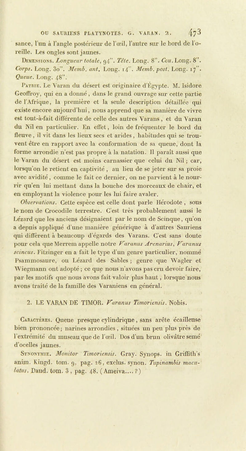 sance, l’im à l’angle postérieur de l’œil, l’autre sur le bord de l’o- reille. Les ongles sont jaunes. Dimensions. Longueur totale, g4”. Tête. Long. 8”. Cou. Long. 8”. Corps. Long. 3o”. Memb, ont. Long. i4- Memh.post. Long. 17”. Queue. Long. 48”. Patrie. Le Varan du désert est originaire d’Égypte. M. Isidore GeolTroy, qui en a donné, dans le grand ouvrage sur cette partie de l’Afrique, la première et la seule description détaillée qui existe encore aujourd’hui, nous apprend que sa manière de vivre est tout-à-fait différente de celle des autres Varans , et du Varan du Nil en particulier. En effet, loin de fréquenter le bord du fleuve, il vit dans les lieux secs et arides, habitudes qui se trou- vent être en rapport avec la conformation de sa queue, dont la forme arrondie n’est pas propre à la natation. Il paraît aussi que le Varan du désert est moins carnassier que celui du Nil ; car, lorsqu’on le retient en captivité , au lieu de se jeter sur sa proie avec avidité, comme le fait ce dernier, on ne parvient à le nour- rir qu’en lui mettant dans la bouche des morceaux de chair, et en employant la violence pour les lui faire avaler. Observations. Cette espèce est celle dont parle Hérodote , sous le nom de Crocodile tei’restre. C’est très probablement aussi le Lézard que les anciens désignaient par le nom de Scinque, qu’on a depuis appliqué d’une manière générique à d’aütres Sauriens qui diffèrent à beaucoup d'égards des Varans. C’est sans doute pour cela queMerrem appelle notre Viranus Ârenarius, F~aranus scincus. Fitzinger en a fait le type d’un geni’e particulier, nommé Psammosaure, ou Lézard des Sables ; genre que Wagler et \\’iegmann ont adopté ; ce que nous n’avons pas cru devoir faire, par les motifs que nous avons fait valoir plus haut, lorsque nous avons traité de la famille des Varaniens en général. 2. LE VARAN DE TIMOR. aranus Timoriensis. Nobis. Caractères. Queue pi’esque cylindrique, sans arête écailleuse bien prononcée ; narines arrondies, situées un peu plus près de l’extrémité du museau que de l’œil. Dos d’un brun olivâtre semé d’ocelles jaxmes. Synonymie. Monitor Timoriensis. Cray. Synops. in Criffîth’s anim. Kingd. tom. 9, pag. 26, exclus, synon. Tupinamhis macii-