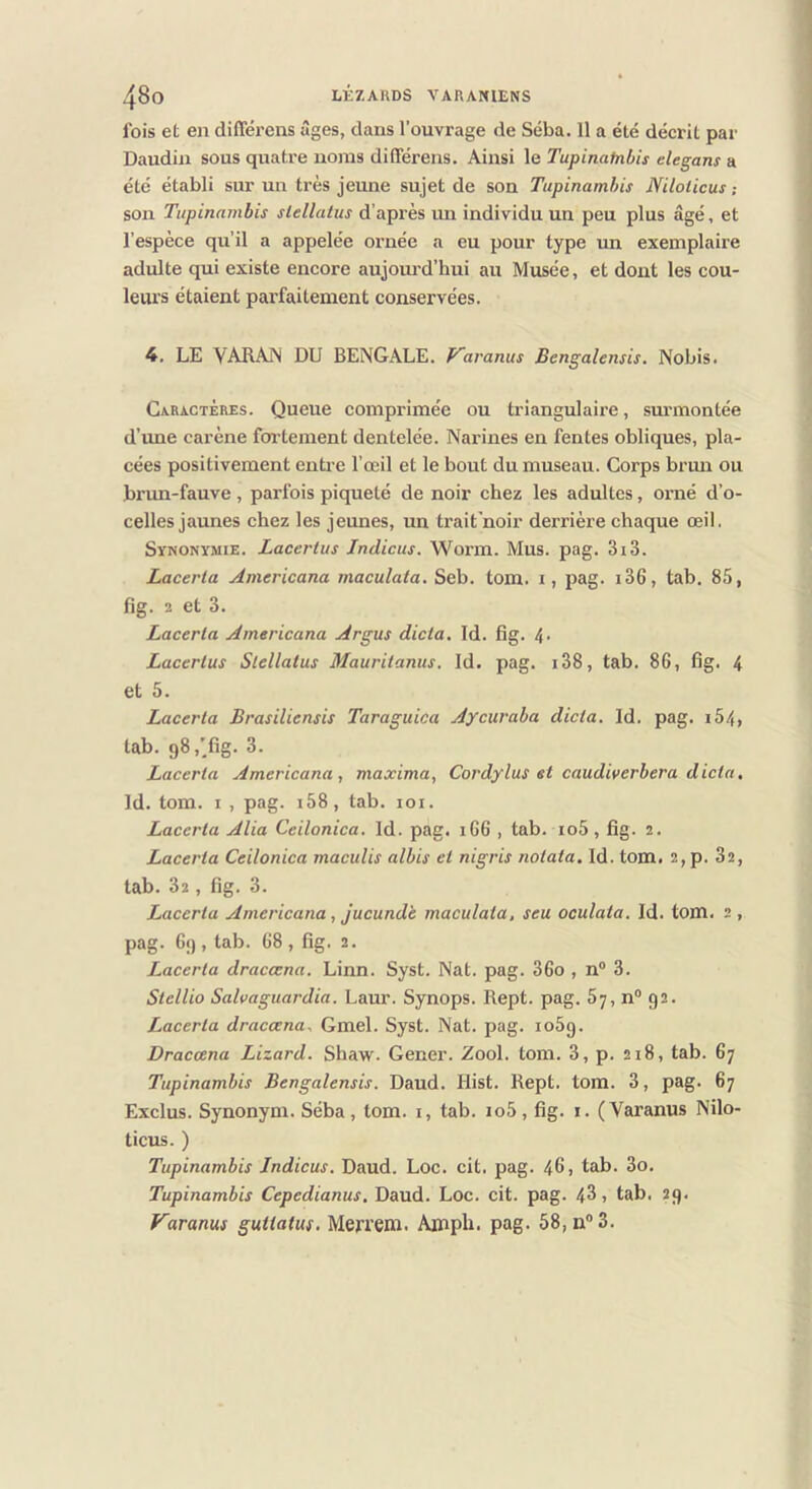 fois et en difféi'ens âges, dans l’ouvrage de Séba. 11 a été décrit par Daudin sous quatre noms differens. Ainsi le Tupinatnbis elegans a été établi sur un très jeune sujet de son Tupinamhis Niloticus son Tupinambis slellatus d’apiès un individu un peu plus âgé, et l’espèce qu’il a appelée ornée a eu pour type un exemplaire adulte qui existe encore aujourd’hui au Musée, et dont les cou- leurs étaient parfaitement conservées. 4. LE VARAN DU BENGALE. Varanus Bengalensis. Nobis. Caractères. Queue comprimée ou triangulaire, surmontée d’ime carène foi’tement dentelée. Narines en fentes obliques, pla- cées positivement entre l’œil et le bout du museau. Corps brmi ou brun-fauve, parfois piqueté de noir chez les adultes, orné d’o- celles jaunes chez les jeunes, un trait'noir derrière chaque œil. Synonymie. Lacertus Indicus. Worm. Mus. pag. 3i3. Laceria Americana maculata. Seb. tom. i, pag. i36, tab. 85, fig. 2 et 3. Laceria Americana Argus dicta. Id. fig. 4. Lacerlus Slellatus Mauritanus, Id. pag. i38, tab. 86, fig. 4 et 5. Laceria Brasiliensis Taraguica Aycuraha dicta. Id. pag. i54, tab. gS.Tig. 3. Laceria Americana, maxima, Cordylus et caudiverbera dicta. Id. tom. I , pag. i58, tab. loi. Laceria Alia Ceilonica. Id. pag. 1G6 , tab. io5, fig. 2. Lacerta Ceilonica maculis albis et nigris notata. Id. tom. 2, p. 32, tab. 32 , fig. 3. Lacerta Americana, jucundè maculata, seu oculata. Id. tom. 2, pag. 6(), tab. 68, fig. 2. Lacerta draccena. Linn. Syst. Nat. pag. 36o , n® 3. Stellio Salvaguardia. Laur. Synops. Rept. pag. 87, n® 92. Laceria draccena. Gmel. Syst. Nat. pag. io5g. Draccena Lizard. Shaw. Gener. Zool. tom. 3, p. 218, tab. 67 Tupinambis Bengalensis. Daud. Hist. Rept. tom. 3, pag. 67 Exclus. Synonym. Séba, tom. i, tab. io5, fig. i. (Varanus Nilo- ticus. ) Tupinambis Indicus. Daud. Loc. cit. pag. 46, tab. 3o. Tupinambis Cepedianus. Daud. Loc. cit. pag. 43 j tab. 29. Varanus guiiatus. Merrem. Amph. pag. 68, n® 3.