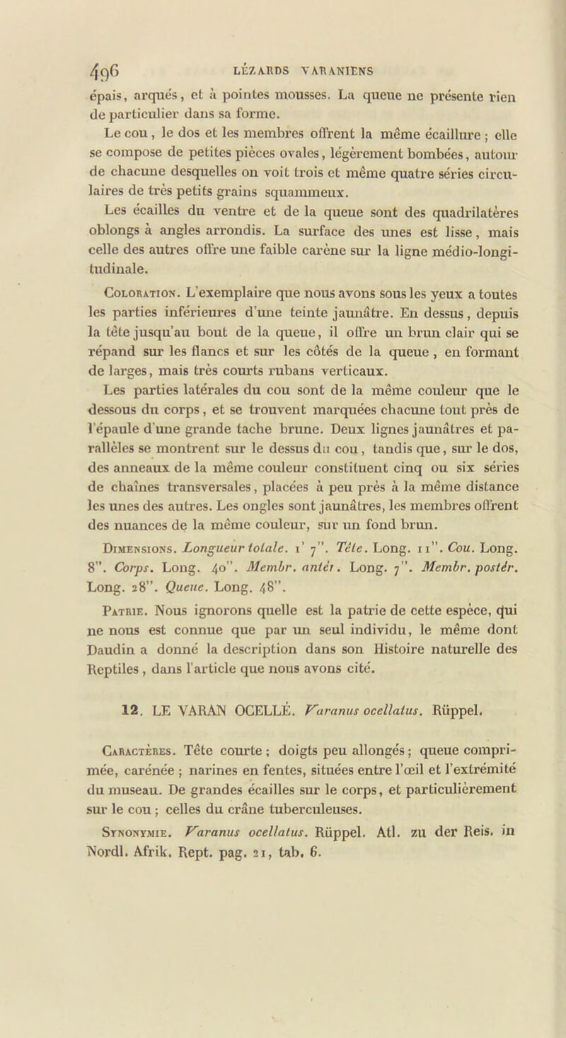 /|q6 LtZAllDS VAIWNIENS épais, arqués, et à pointes mousses. La queue ne présente rien de particulier dans sa forme. Le cou, le dos et les membres offrent la même écaillure ; elle se compose de petites pièces ovales, légèrement bombées, autom- de chacune desquelles on voit trois et même quatre séries circu- laires de très petits grains sqitammeux. Les écailles du ventre et de la queue sont des quadrilatères oblongs à angles arrondis. La surface des unes est lisse, mais celle des autres offre une faible carène sur la ligne médio-longi- tudinale. Coloration. L’exemplaire que nous avons sous les yeux a toutes les parties inférieures d’mie teinte jamiâtre. En dessus, depuis la tête jusqu’au bout de la queue, il offre un brun clair qui se répand sur les flancs et sur les côtés de la queue , en formant de larges, mais très courts rubans verticaux. Les parties latérales du cou sont de la même couleur que le dessous du corps, et se trouvent marquées chacune tout près de l’épaule d’une grande tache brune. Deux lignes jaunâtres et pa- rallèles se montrent sur le dessus du cou, tandis que, sur le dos, des anneaux de la même couleur constituent cinq ou six séries de chaînes transversales, placées à peu près à la même distance les unes des autres. Les ongles sont jaunâtres, les membres offrent des nuances de la même couleur, sur un fond brmi. Dimensions. Longueur totale, i’ 7”. Télé. Long. ii”. Cou. Long. 8”. Corps. Long. 40”. Memhr. aniéi. Long. 7”. Memhr. postèr. Long. 28”. Queue. Long. 48”. Patrie. Nous ignorons quelle est la patrie de cette espèce, (Jui ne nous est connue que par rni seul individu, le même dont Daudin a donné la description dans son Histoire naturelle des Reptiles, dans farticle que nous avons cité. 12. LE VARAN OCELLÉ. Varanus ocelîaius. Rüppel. Caractères. Tête courte ; doigts peu allongés ; queue compri- mée, carénée ; narines en fentes, situées entre l’œil et l’extrémité du museau. De grandes écailles sur le corps, et particulièrement sur le cou ; celles du crâne tuberculeuses. Stnonïmie. Varanus ocellalus. Rüppel. Atl. ZU der Reis. in Nordl. Afrik. Rept. pag. 21, tab. 6.