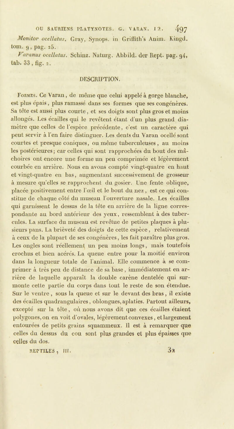 Monitor ocellaliis. Gray, Synops. in Griflitli’s Anim. tom. 9, pag. 25. Kingd. Firanus ocdlatus. Scliinz. Naturg. Abbild. der Rept. pag. 94» tab. 33 , fig. 2. DESCRIPTION. Formes. Ce Varan, de même que celui appelé à gorge blanche, est plus épais, plus ramassé dans ses formes que ses congénères. Sa tête est aussi plus courte, et ses doigts sont plus gros et moins allongés. Les écailles qui le revêtent étant d’un plus grand dia- mètre que celles de l’espèce précédente, c’est un caractère qui peut servir à l’en faire distinguer. Les dents du Varan ocellé sont courtes et presque coniques, ou même tuberculeuses, au moins les postérieures; car celles qui sont rapprochées du bout des mâ- choires ont encore une forme mi peu comprimée et légèrement courbée en arrière. Nous en avons compté vingt-quatre en haut et vingt-quatre en bas, augmentant successivement de grosseur à mesure qu’elles se rapprochent du gosier. Une fente oblique, placée positivement entre l’œil et le bout du nez, est ce qui con- stitue de chaque côté du museau l’ouverture nasale. Les écailles qui garnissent le dessus de la tête en arrière de la ligne corres- pondante au bord antérieur des yeux, ressemblent à des tuber- cides. La surface du museau est revêtue de petites plaques à plu- sieurs pans. La brièveté des doigts de cette espèce, relativement à ceux de la plupart de ses congénères, les fait paraître plus gros. Les ongles sont réellement un peu moins longs, mais toutefois crochus et bien acérés. La queue entre pour la moitié environ dans la longueur totale de l’animal. Elle commence à se com- primer à très peu de distance de sa base, immédiatement en ar- rière de laquelle apparaît la double carène dentelée qui sur- monte cette partie du corps dans tout le reste de son étendue. Sur le ventre, sous la queue et sur le devant des bras, il existe des écailles quadrangulaires, oblongues, aplaties. Partout ailleurs, excepté sui’ la tête, où nous avons dit que ces écailles étaient polygones, on en voit d’ovales, légèrement convexes, et largement entourées de petits grains squammeux. 11 est à remarquer que celles du dessus du cou sont plus grandes et plus épaisses que celles du dos. RErriUES, iif. 3a