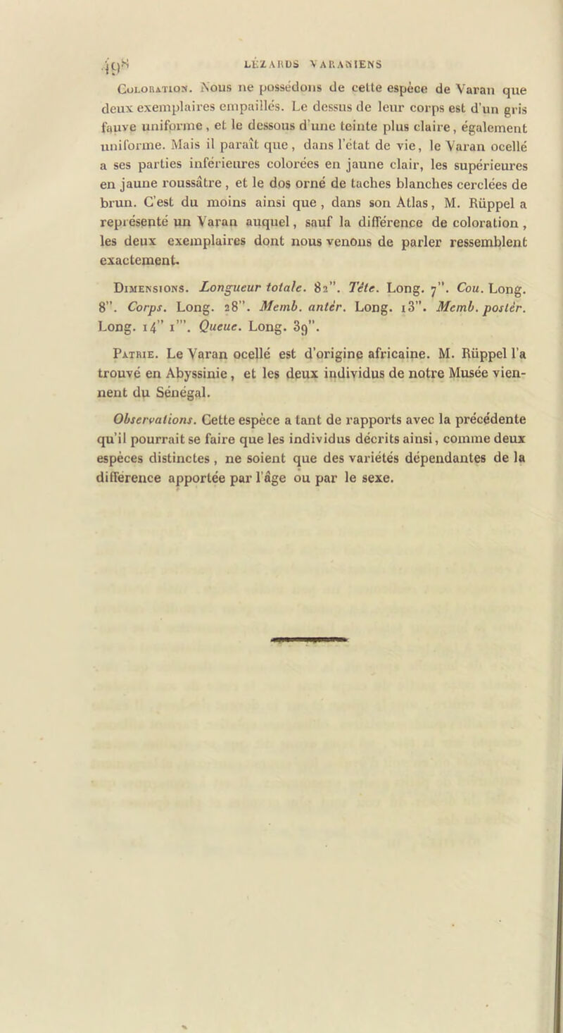 LtZAKÜS VAP.AHIEN3 CoLOBATio». iNous ne possédons de celle espèce de Varan que deux exemplaires empaillés. Le dessus de leur corps est d’un gris fauve unifpi-me, et le dessous d’une teinte plus claire, également uniforme. Mais il paraît que, dans l’état de vie, le Varan ocellé a ses parties inférieures colorées en jaune clair, les supérieures en jaune roussâtre , et le dos orné de taches blanches cerclées de brun. C’est du moins ainsi que, dans son Atlas, M. Rüppel a représepté un Varan auquel, sauf la différence de coloration, les deux exemplaires dont nous venons de parler ressemblent exactement. Dimensions. Longueur totale. 82”. Tête. Long. 7”. Cou. Long. 8”. Corps. Long. 28”. Memb. antèr. Long. i3”. Memb. poslér. Long. 14 ” i”’. Queue. Long. Sg’’. Patrie. Le Varan ocellé est d’origine africaine. M. Rüppel l’a trouvé en Abyssinie, et les deux individus de notre Musée vien- nent du Sénégal. Observations. Cette espèce a tant de rapports avec la précédente qu’il pourrait se faire que les individus décrits ainsi, comme deux espèces distinctes, ne soient que des variétés dépendantes de la différence apportée par l’âge ou par le sexe.